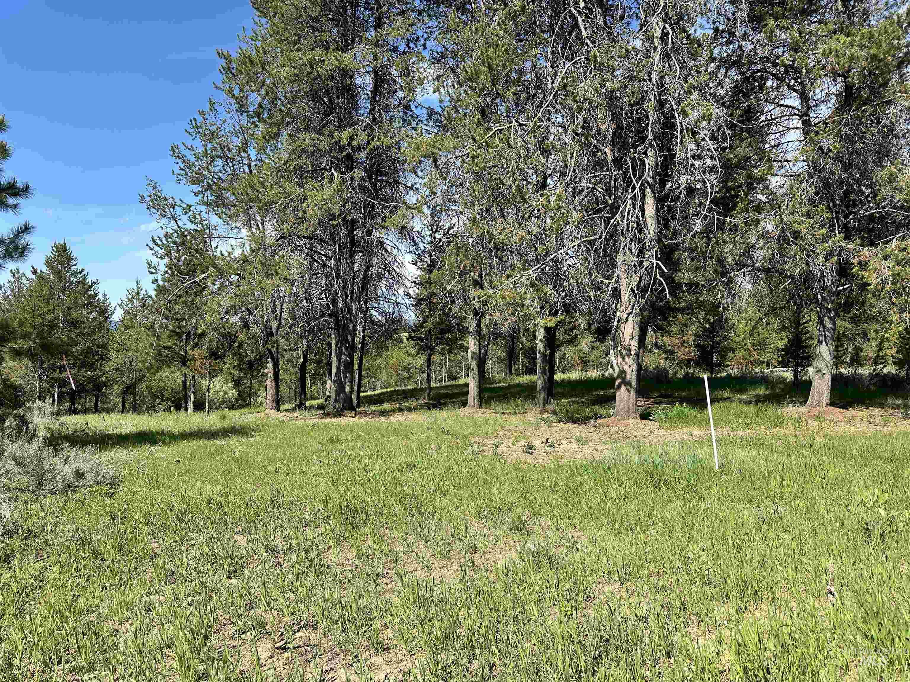 433 Wilhelm Creek Property Photo 3