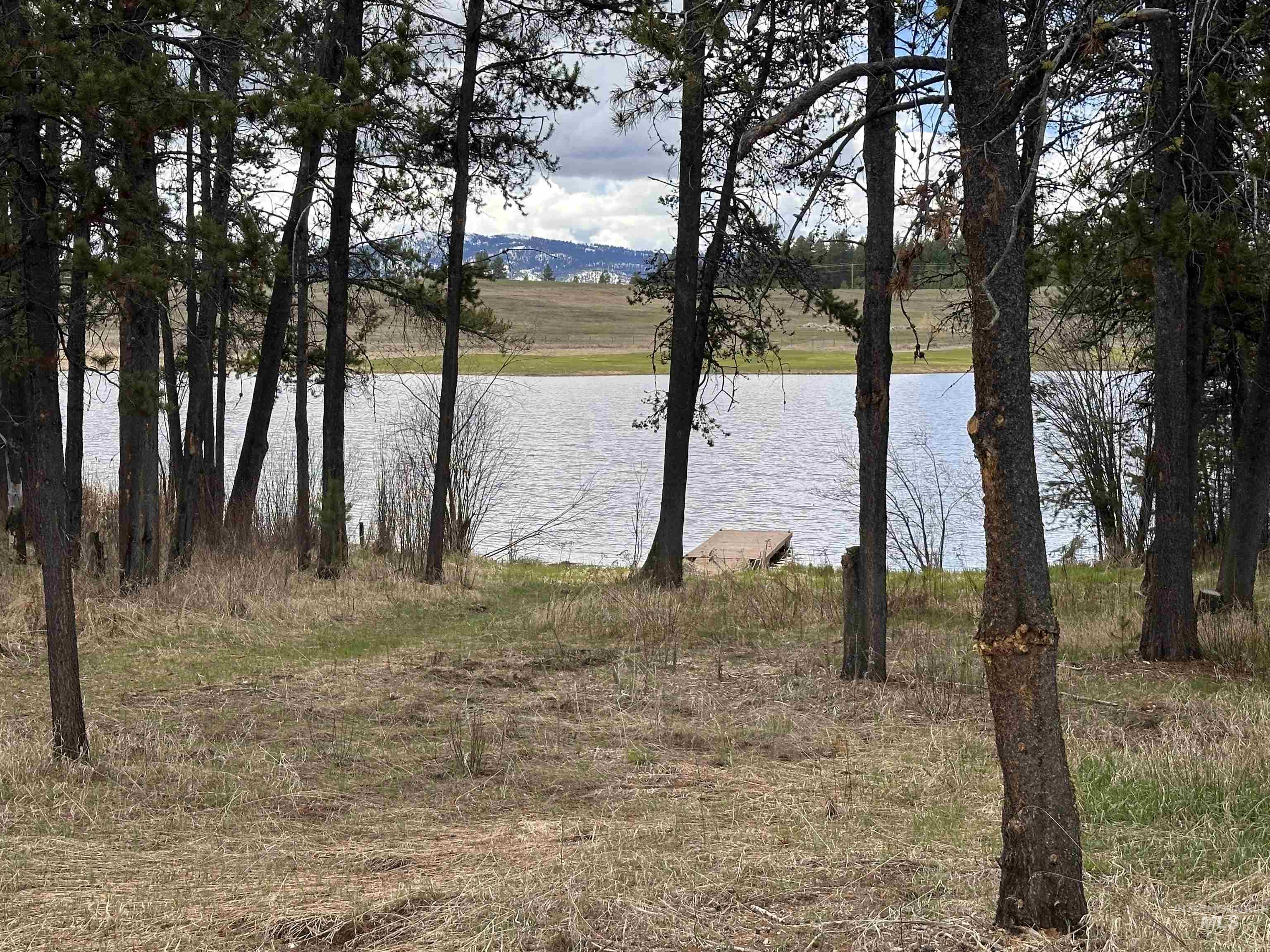 433 Wilhelm Creek Property Photo 5