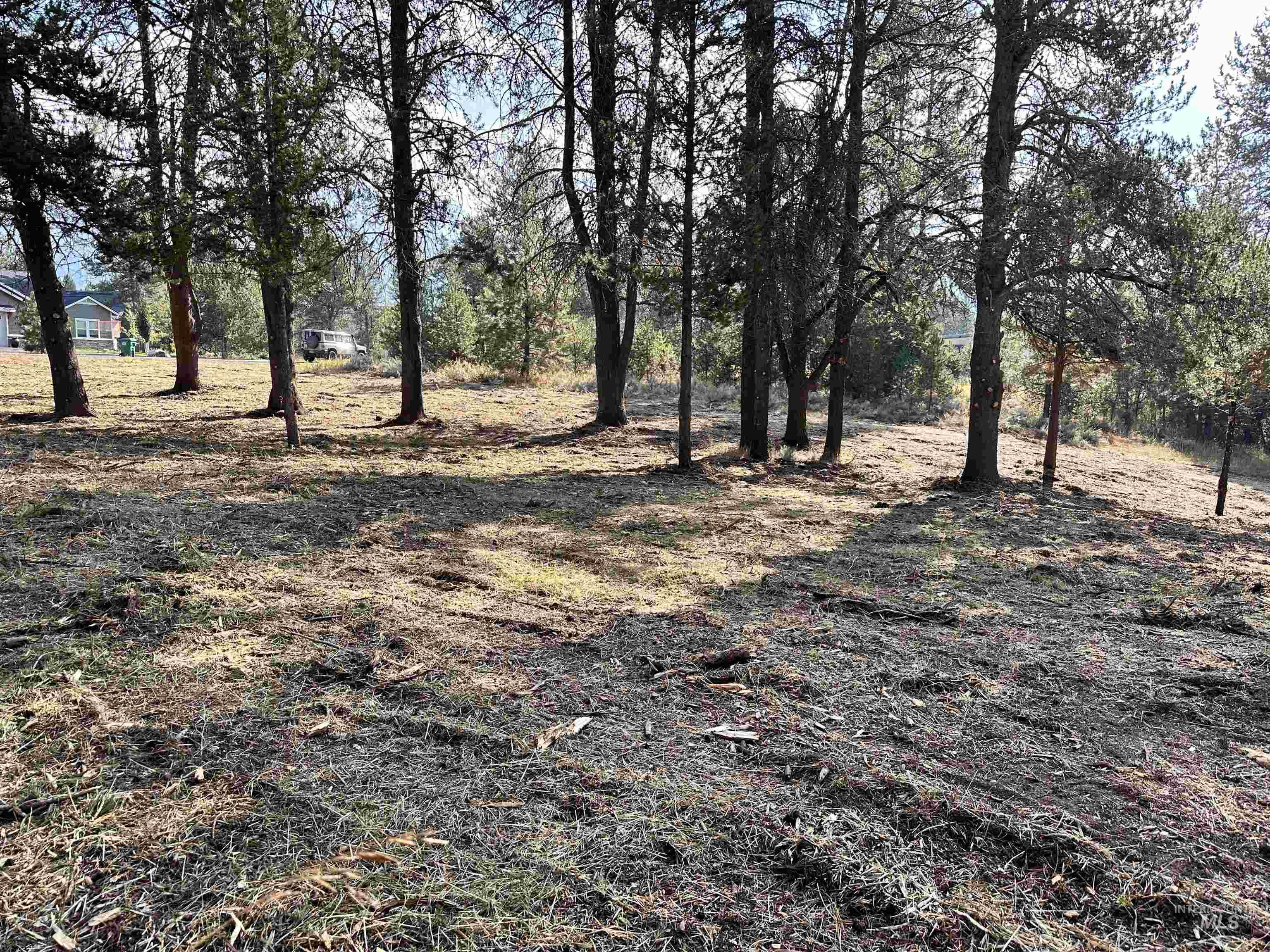 433 Wilhelm Creek Property Photo 12