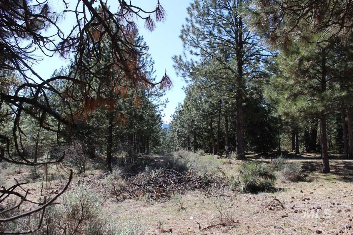 1494 Pine Ridge Drive Property Photo 1