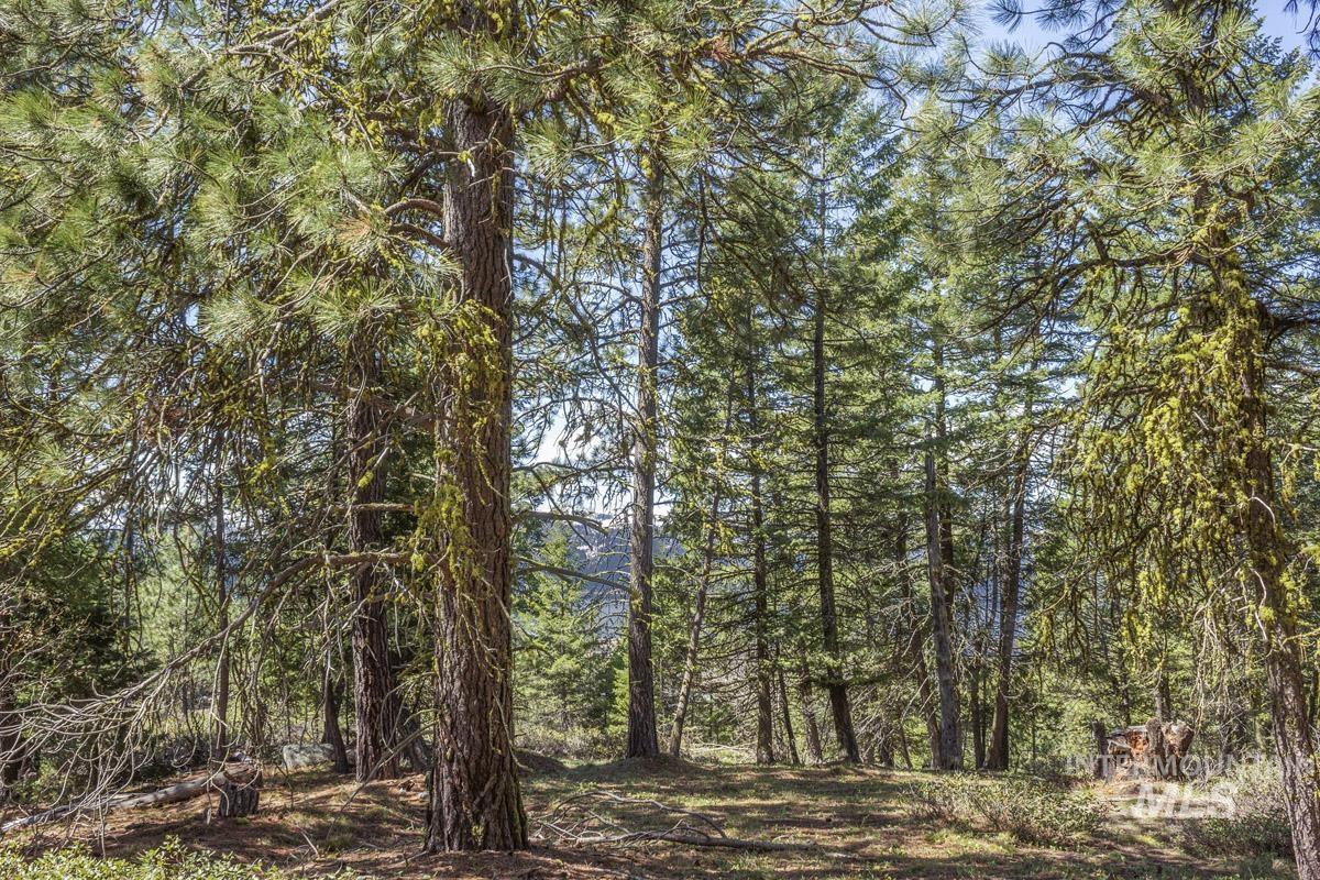161 Little Donner Drive Property Photo 1