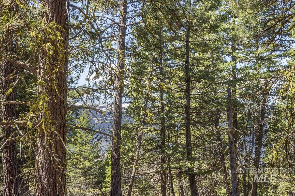 161 Little Donner Drive Property Photo 2