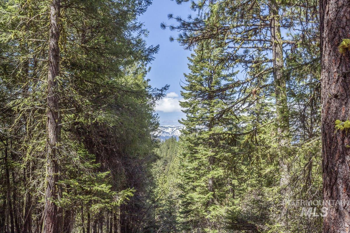 161 Little Donner Drive Property Photo 3