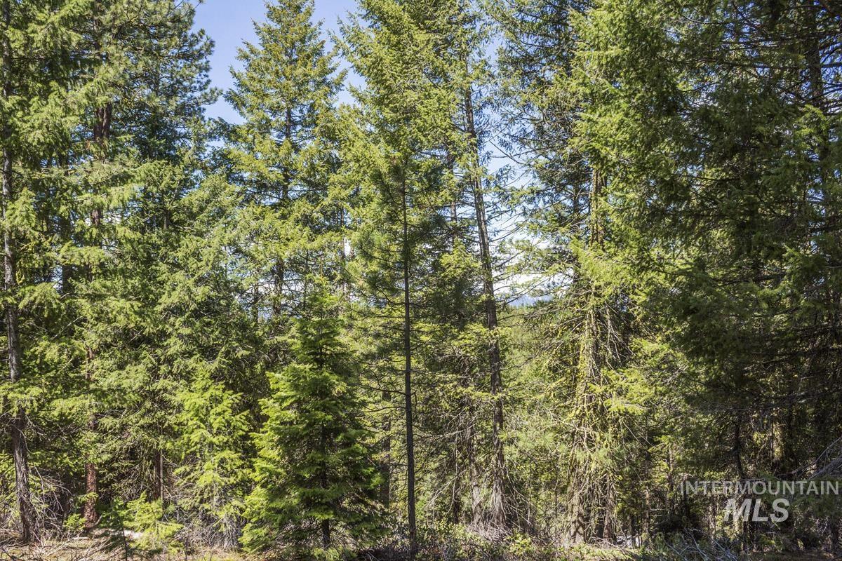 161 Little Donner Drive Property Photo 11