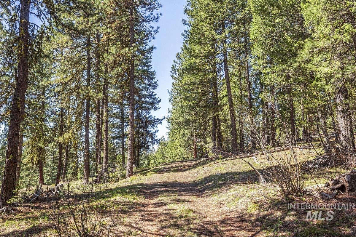 161 Little Donner Drive Property Photo 12