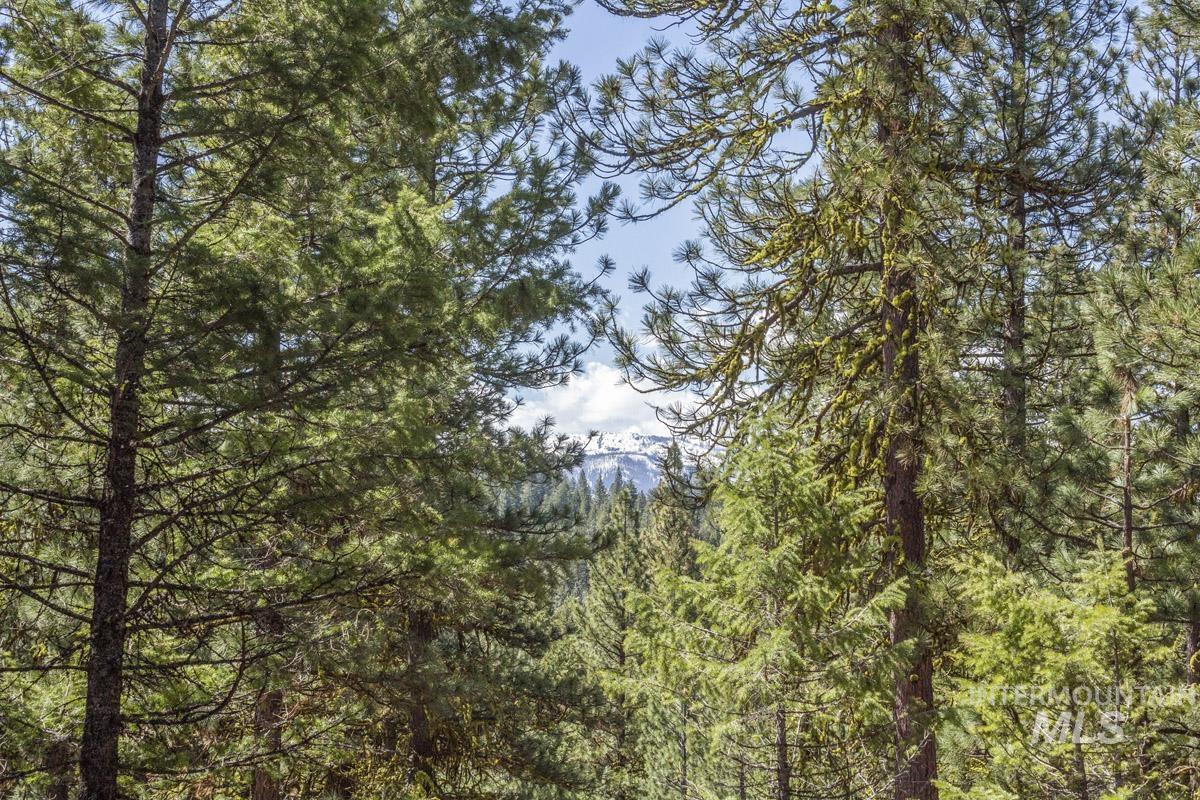 161 Little Donner Drive Property Photo 15