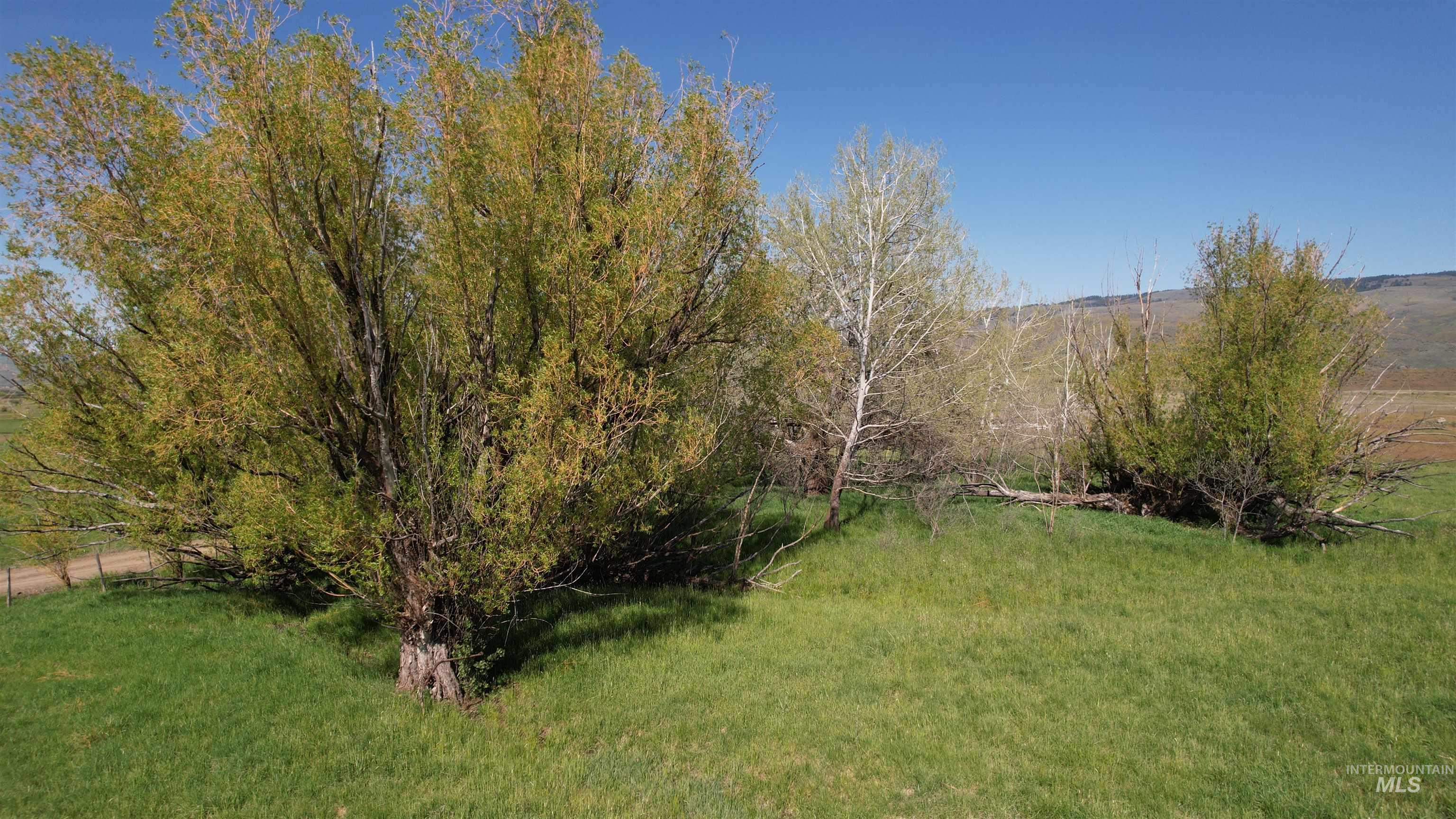 19763 Butler Lane Property Photo 6