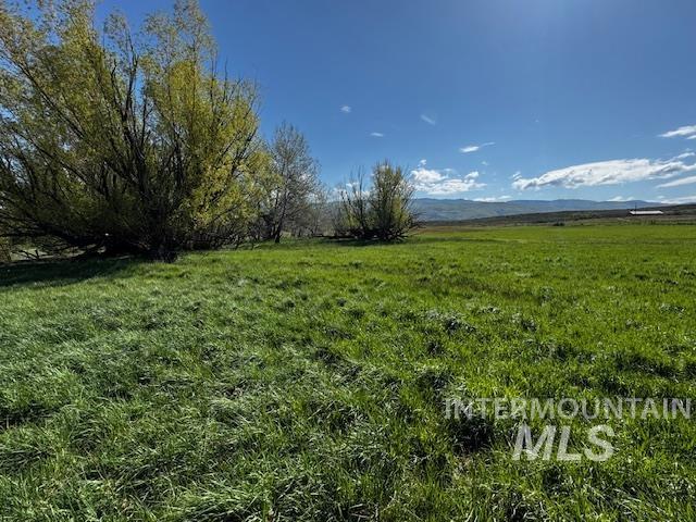 19763 Butler Lane Property Photo 15
