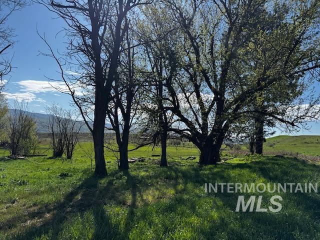 19763 Butler Lane Property Photo 25