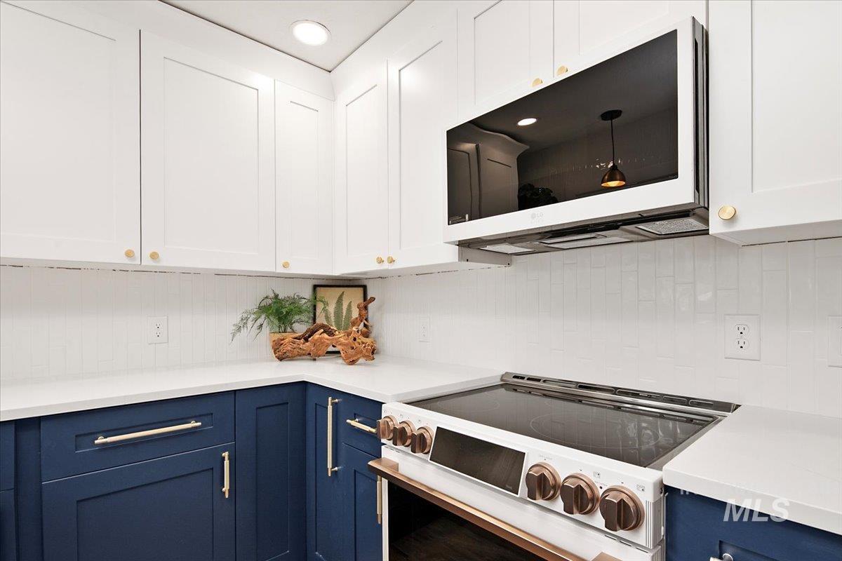 1309 W Melrose Street Property Photo 17
