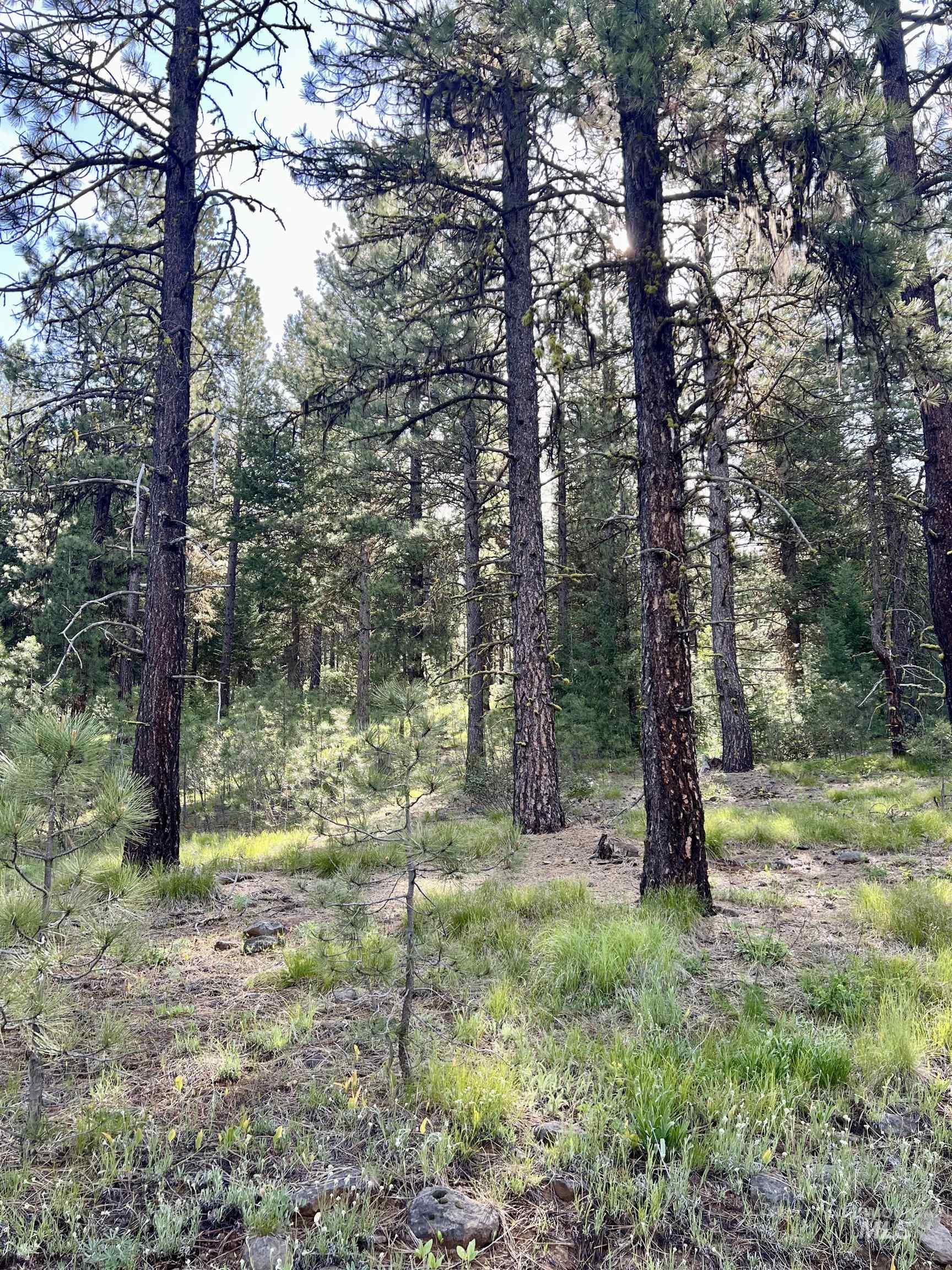 Lot 20 Meadows Rd Property Photo