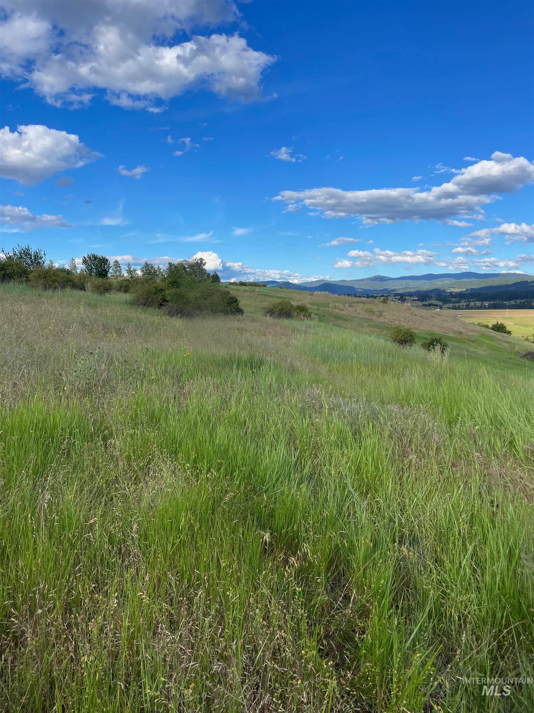 Tbd Brotnov Rd. Property Photo 19