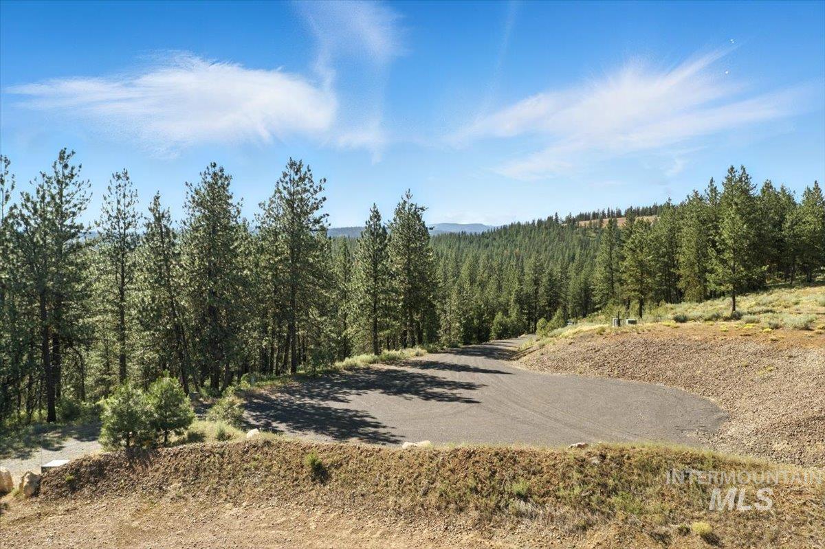 Lot 7 Van Dorn Dr. Property Photo 1