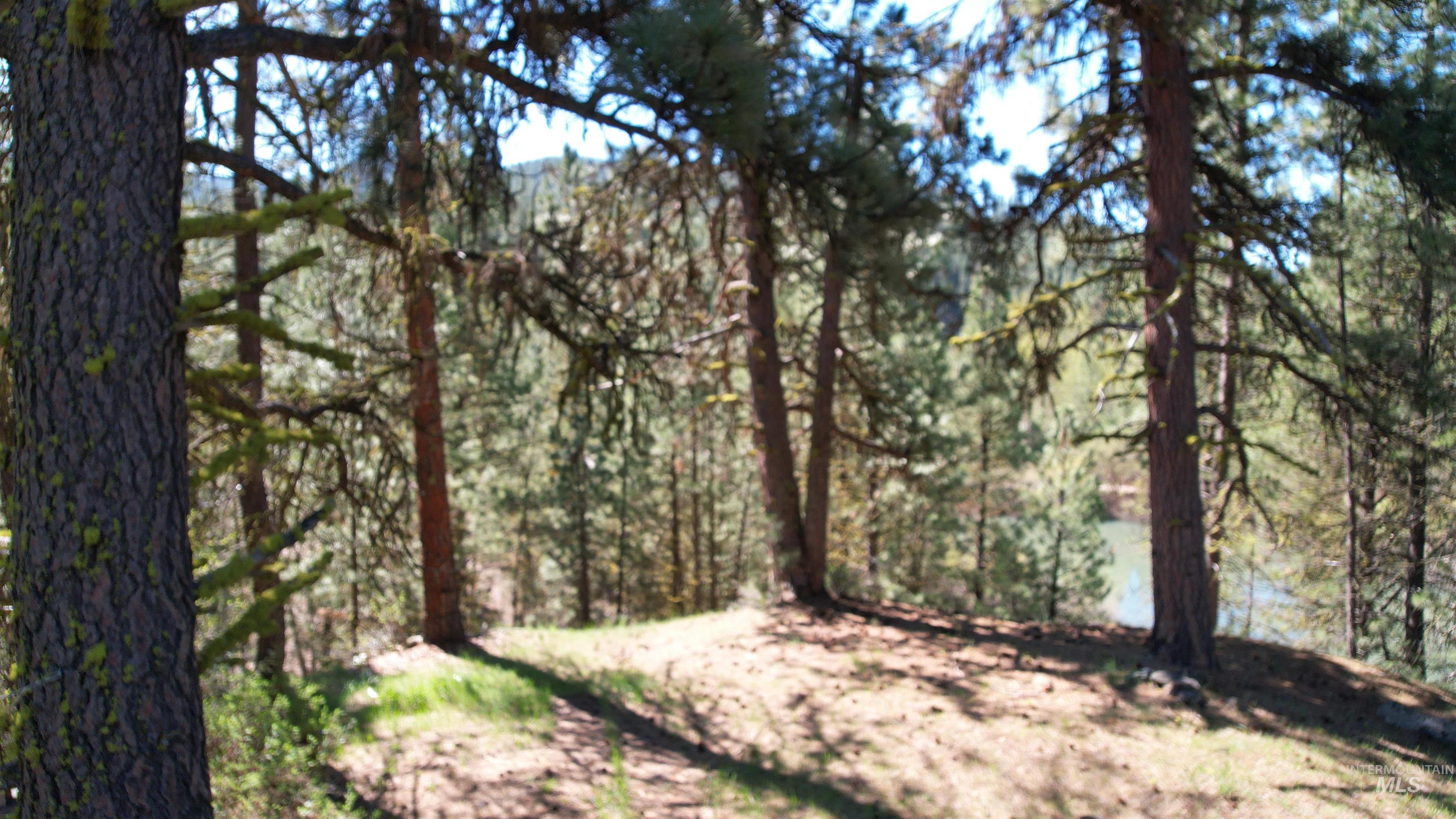 9 Pond Overlook Property Photo 46