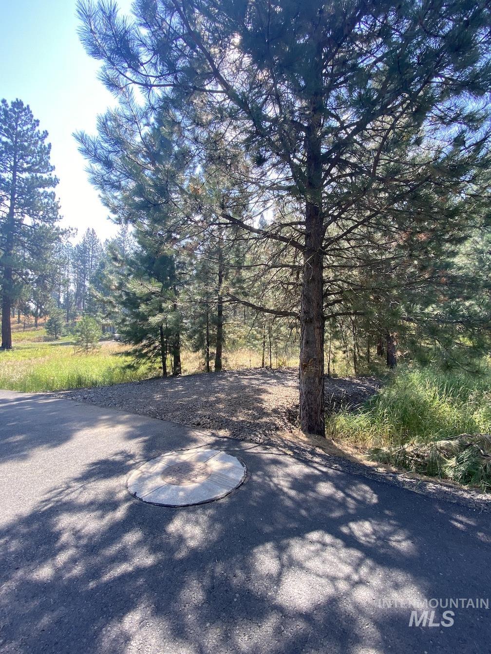 3955 Valley View Dr Property Photo 5