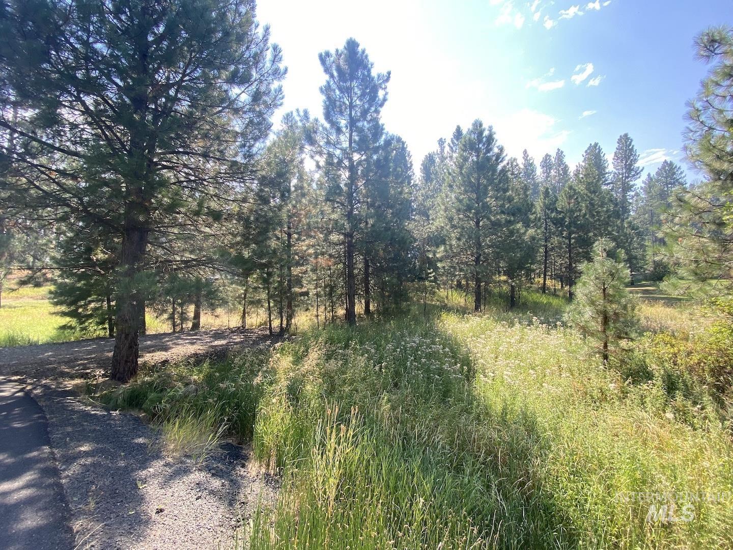 3955 Valley View Dr Property Photo 7