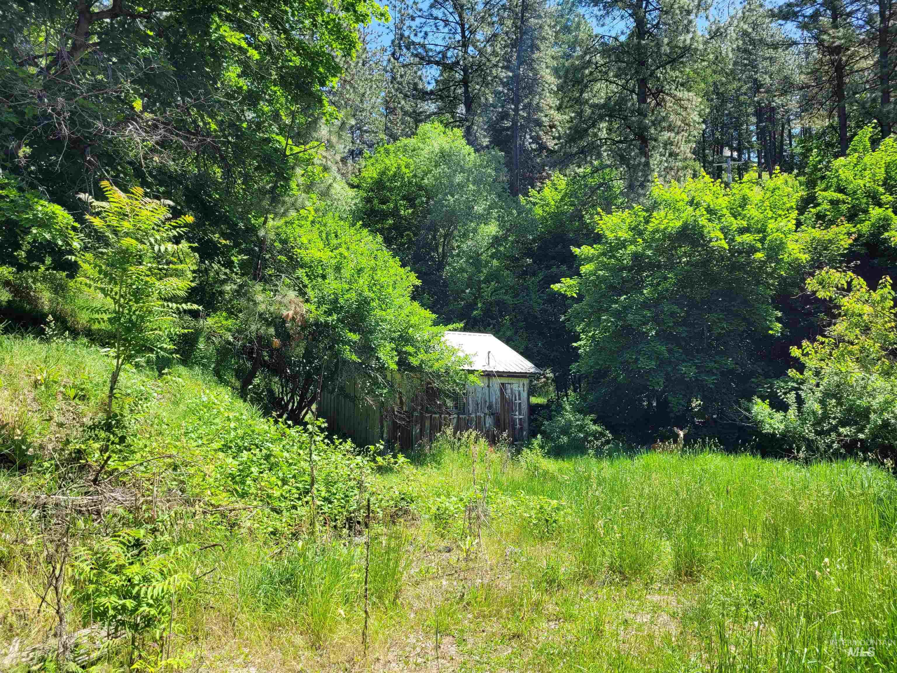 801 Dewey Property Photo 41