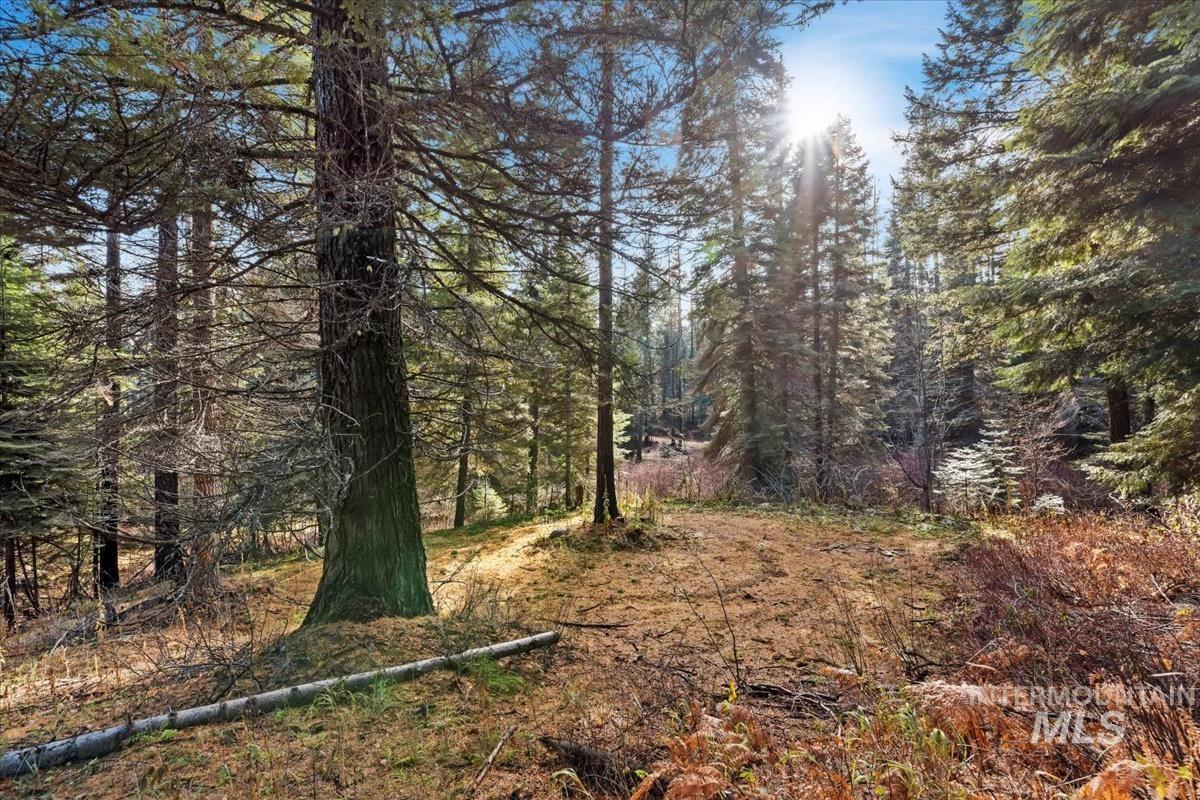 1715 Grouse Trail Property Photo