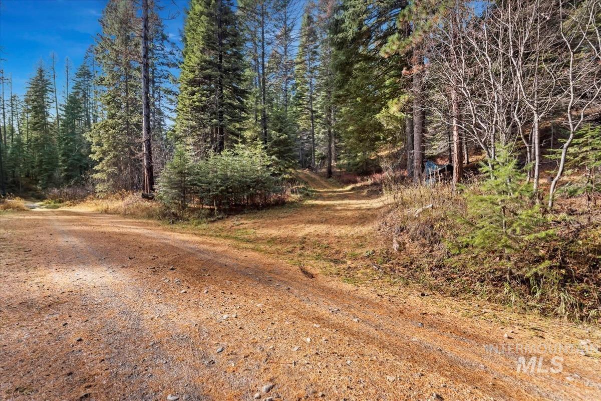 1715 Grouse Trail Property Photo 4