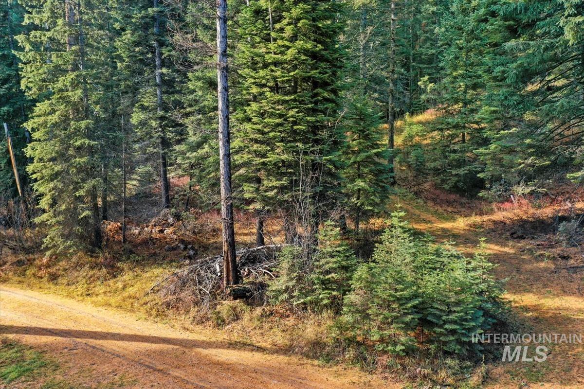 1715 Grouse Trail Property Photo 5
