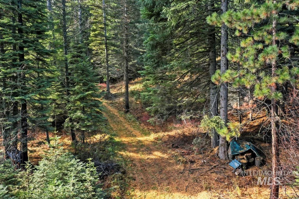 1715 Grouse Trail Property Photo 6