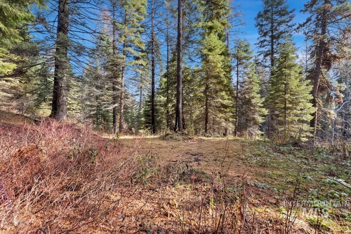 1715 Grouse Trail Property Photo 7
