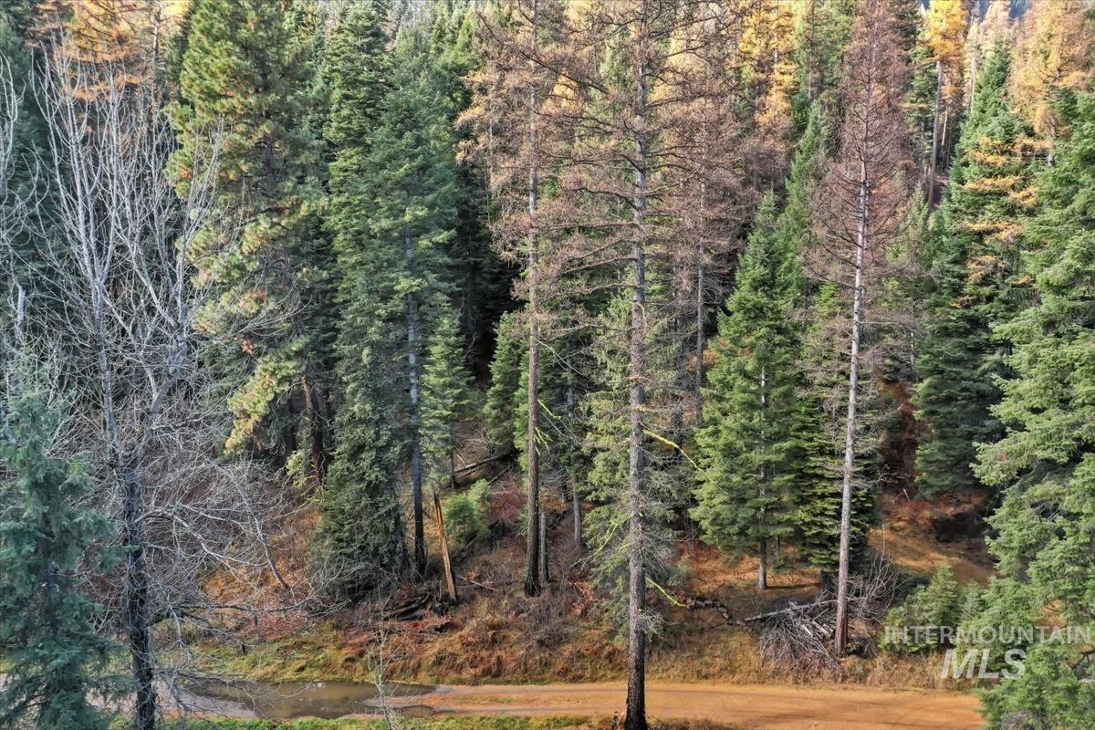 1715 Grouse Trail Property Photo 9