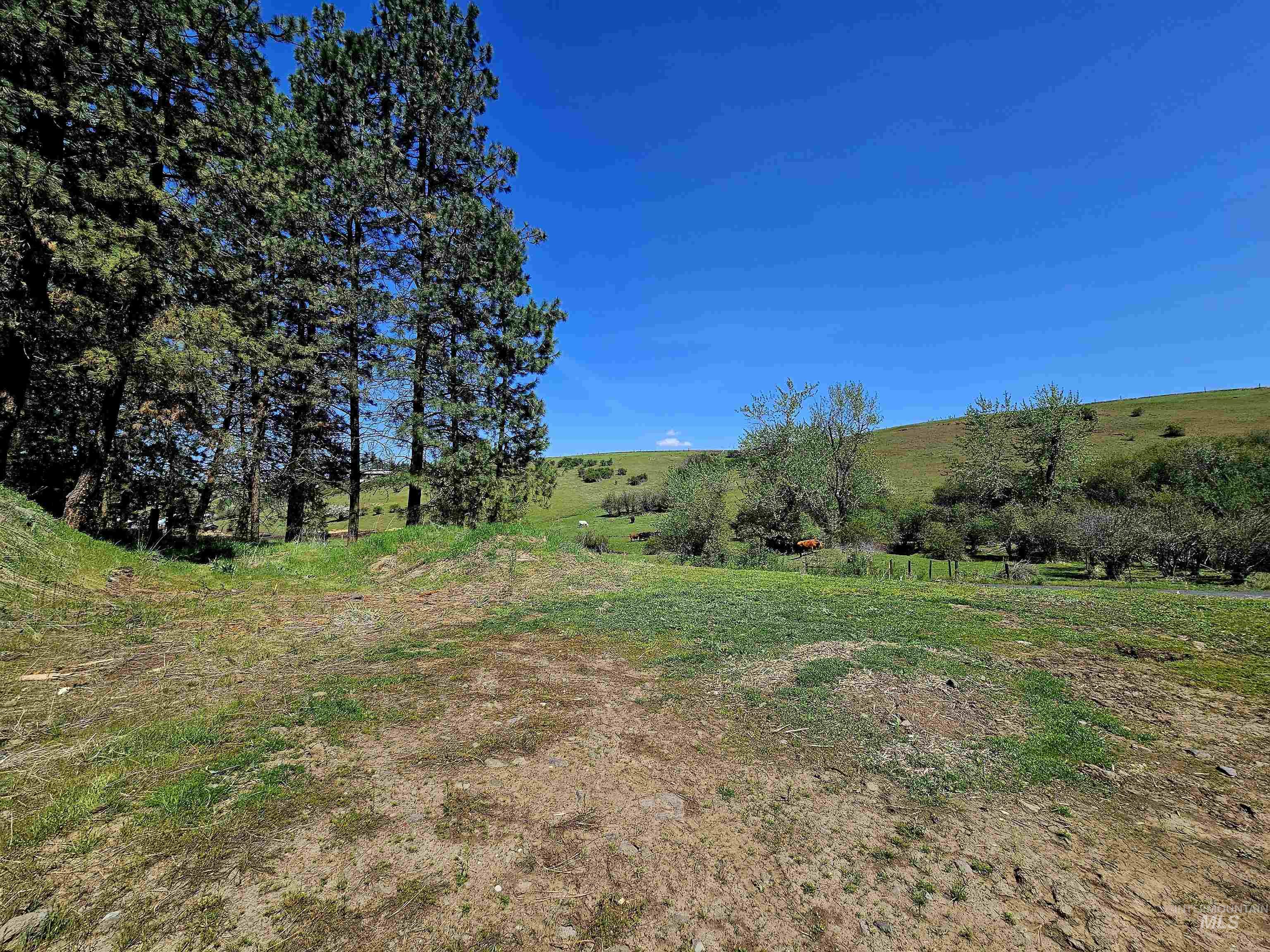 32178 South Rd Property Photo 22