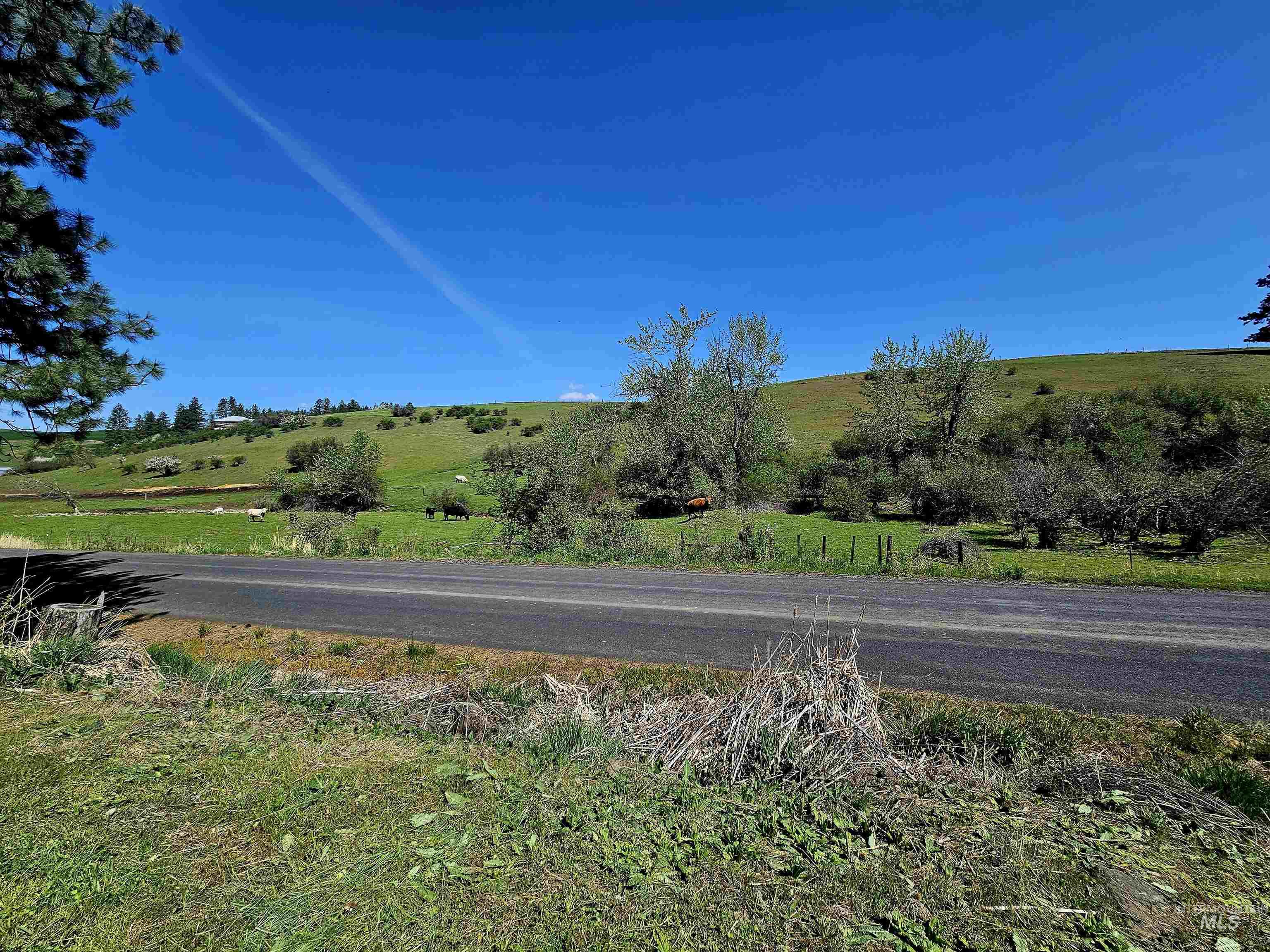 32178 South Rd Property Photo 24