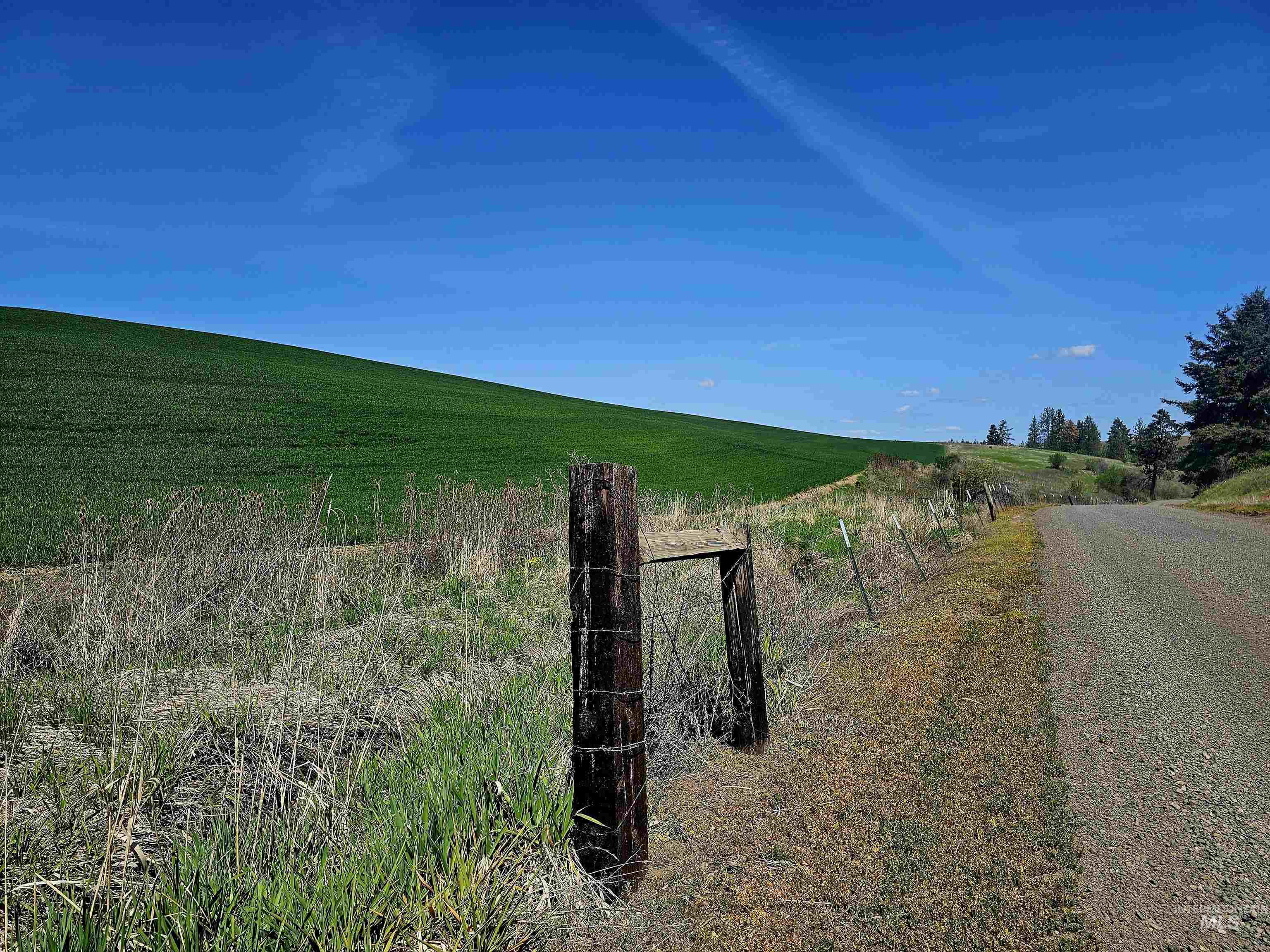 32178 South Rd Property Photo 30