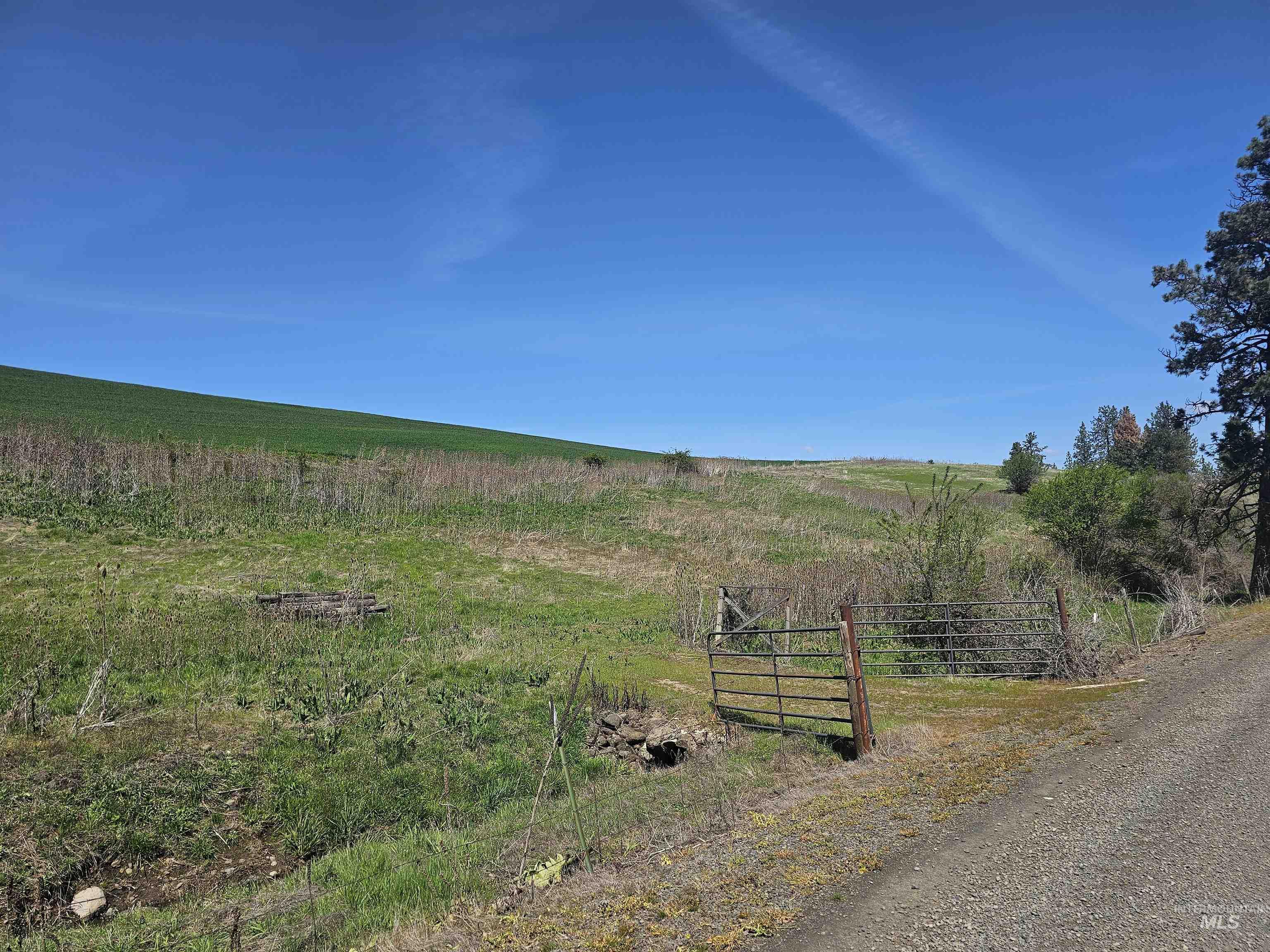32178 South Rd Property Photo 33
