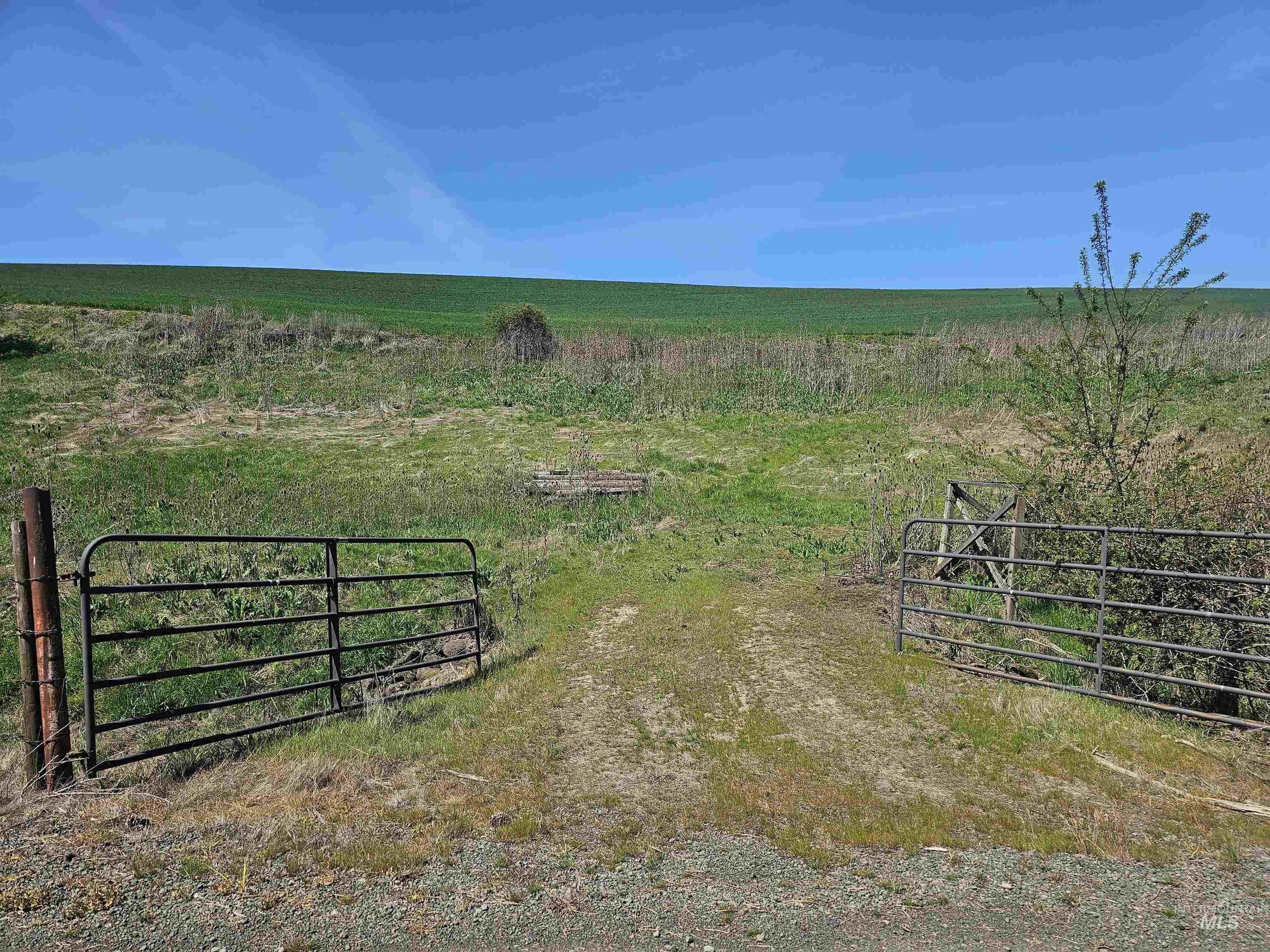 32178 South Rd Property Photo 34