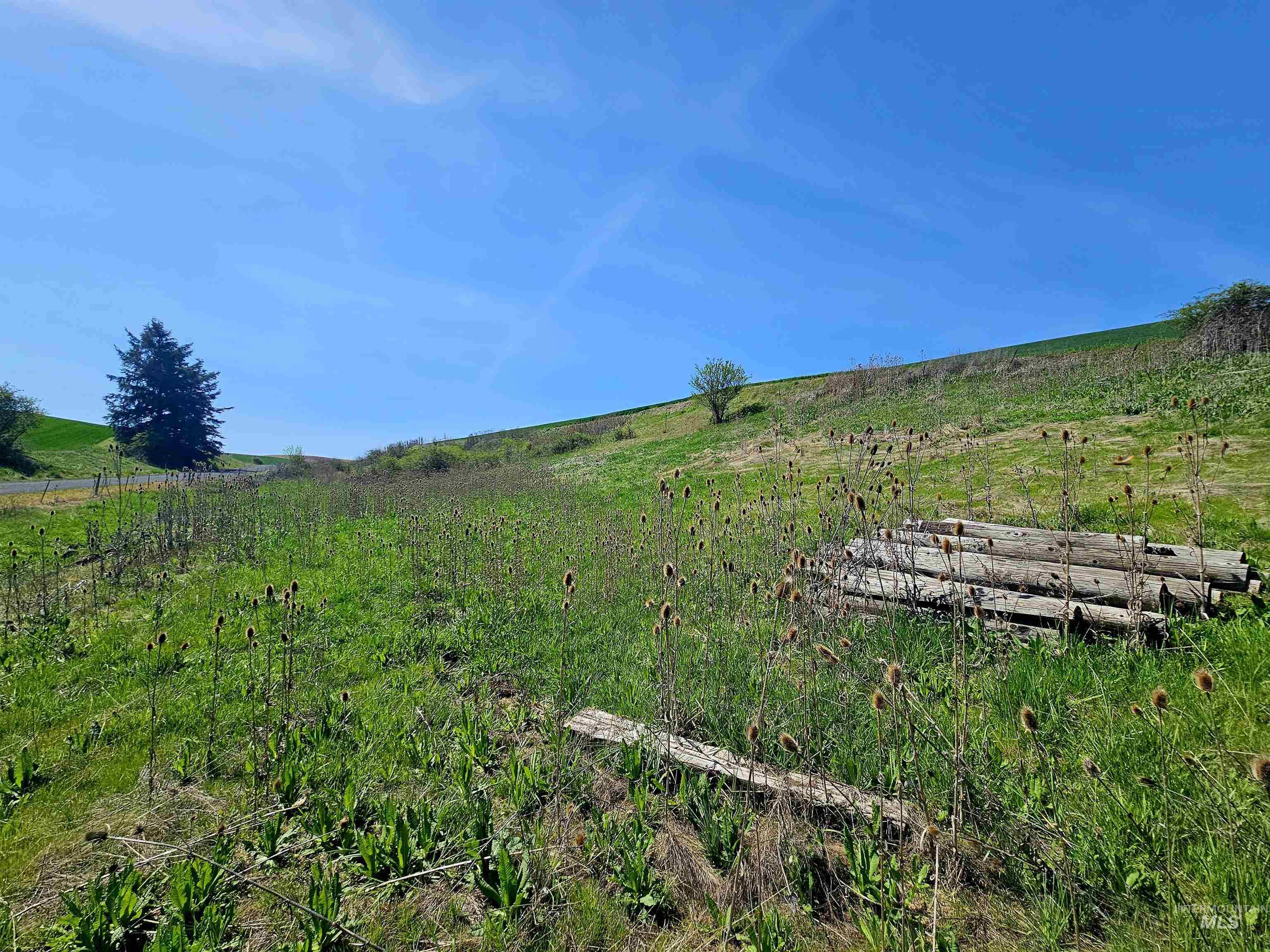 32178 South Rd Property Photo 37