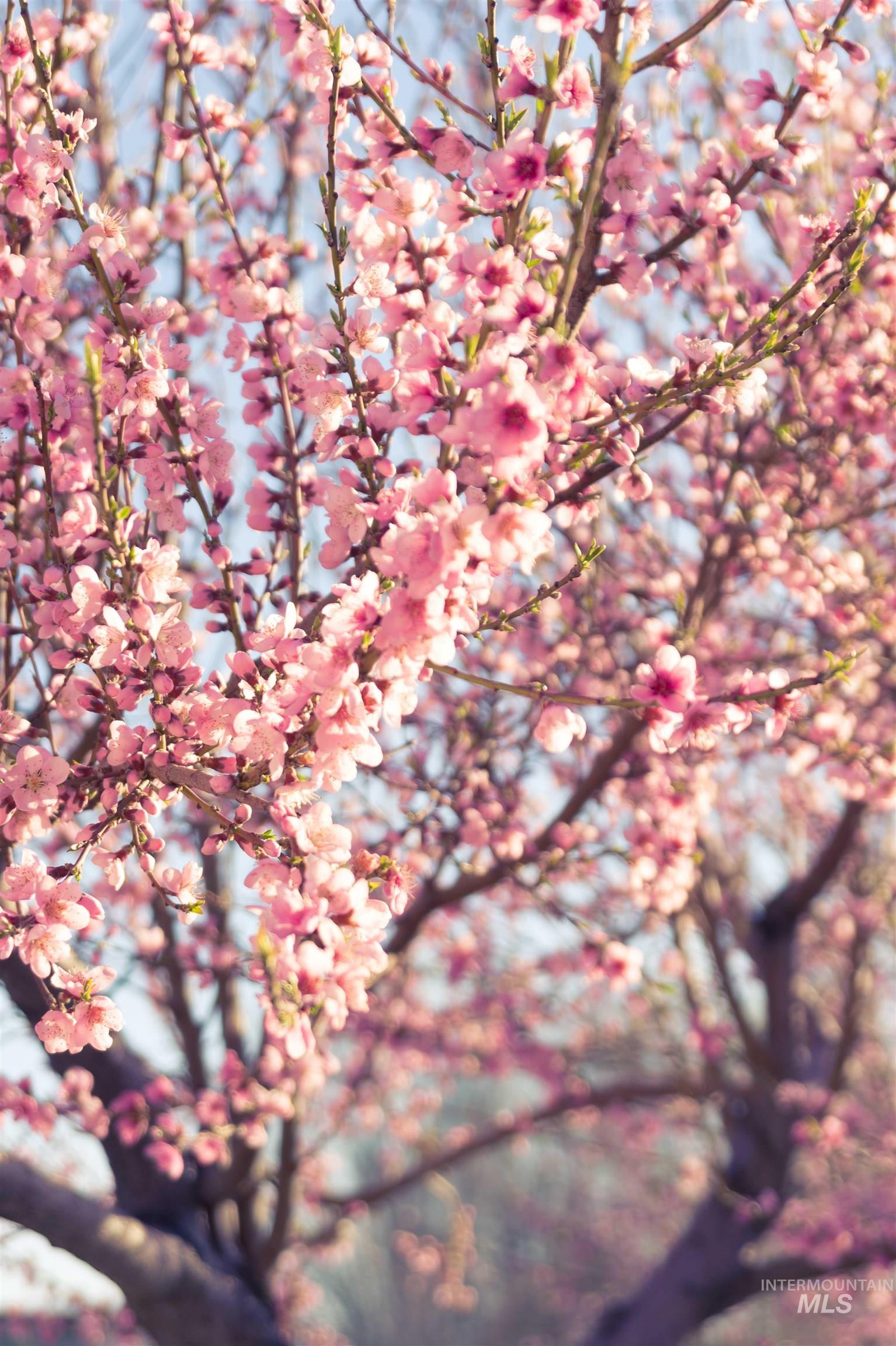 2771 S 850 E Property Photo 37