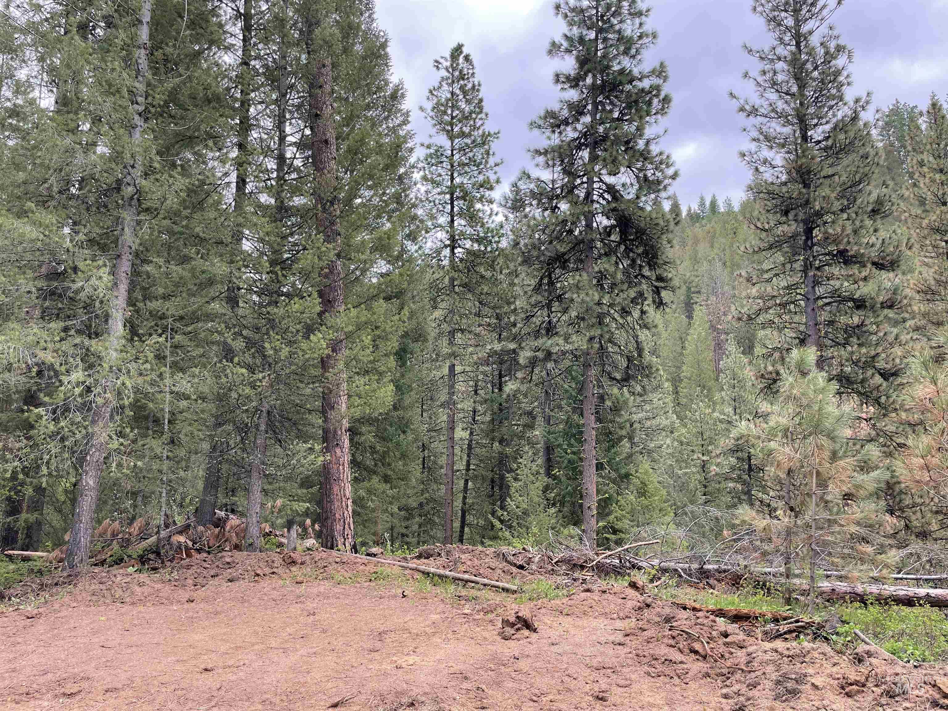 Tbd Park Ln Lot 7 & 8 Property Photo 2