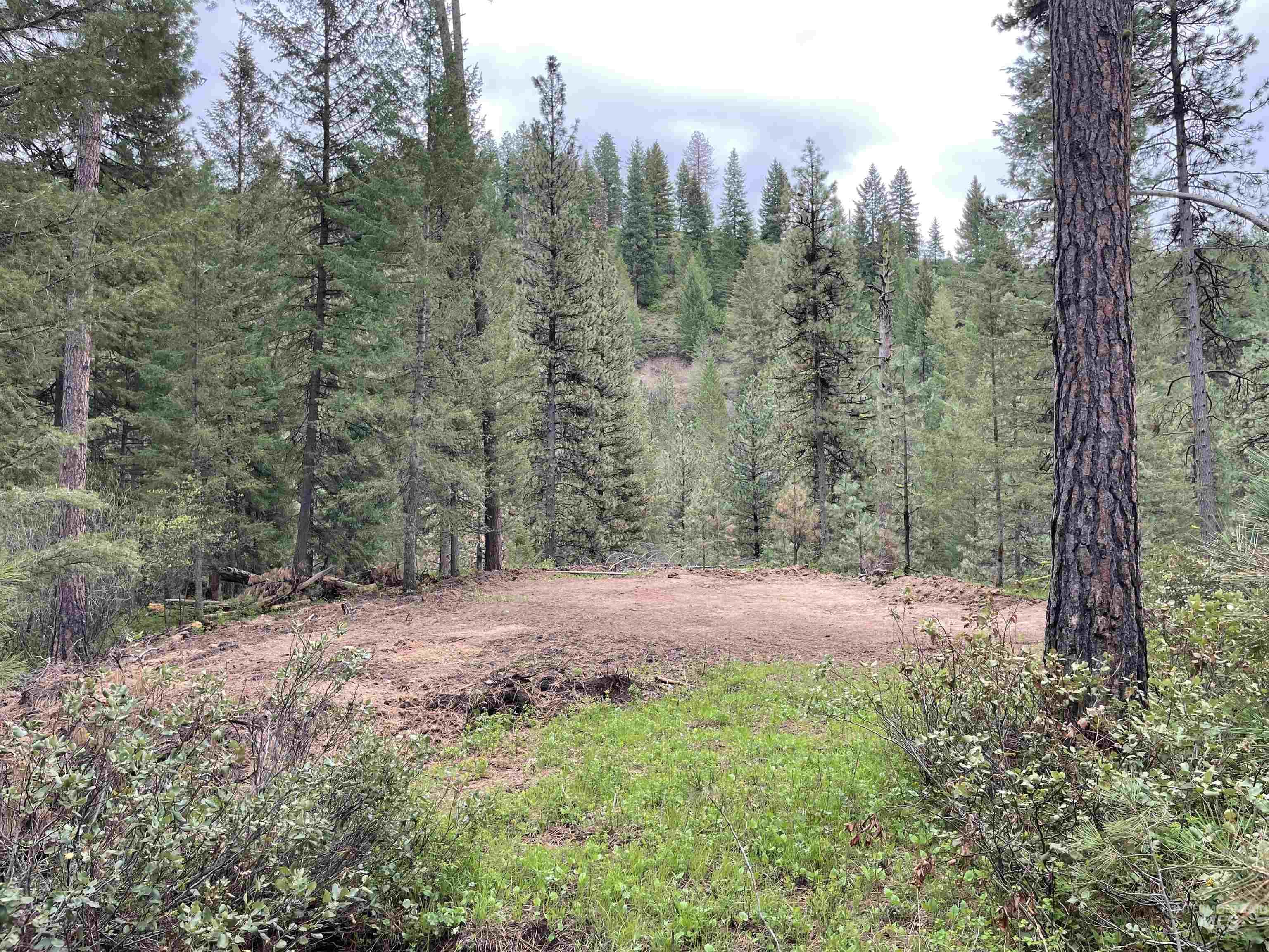 Tbd Park Ln Lot 7 & 8 Property Photo 3