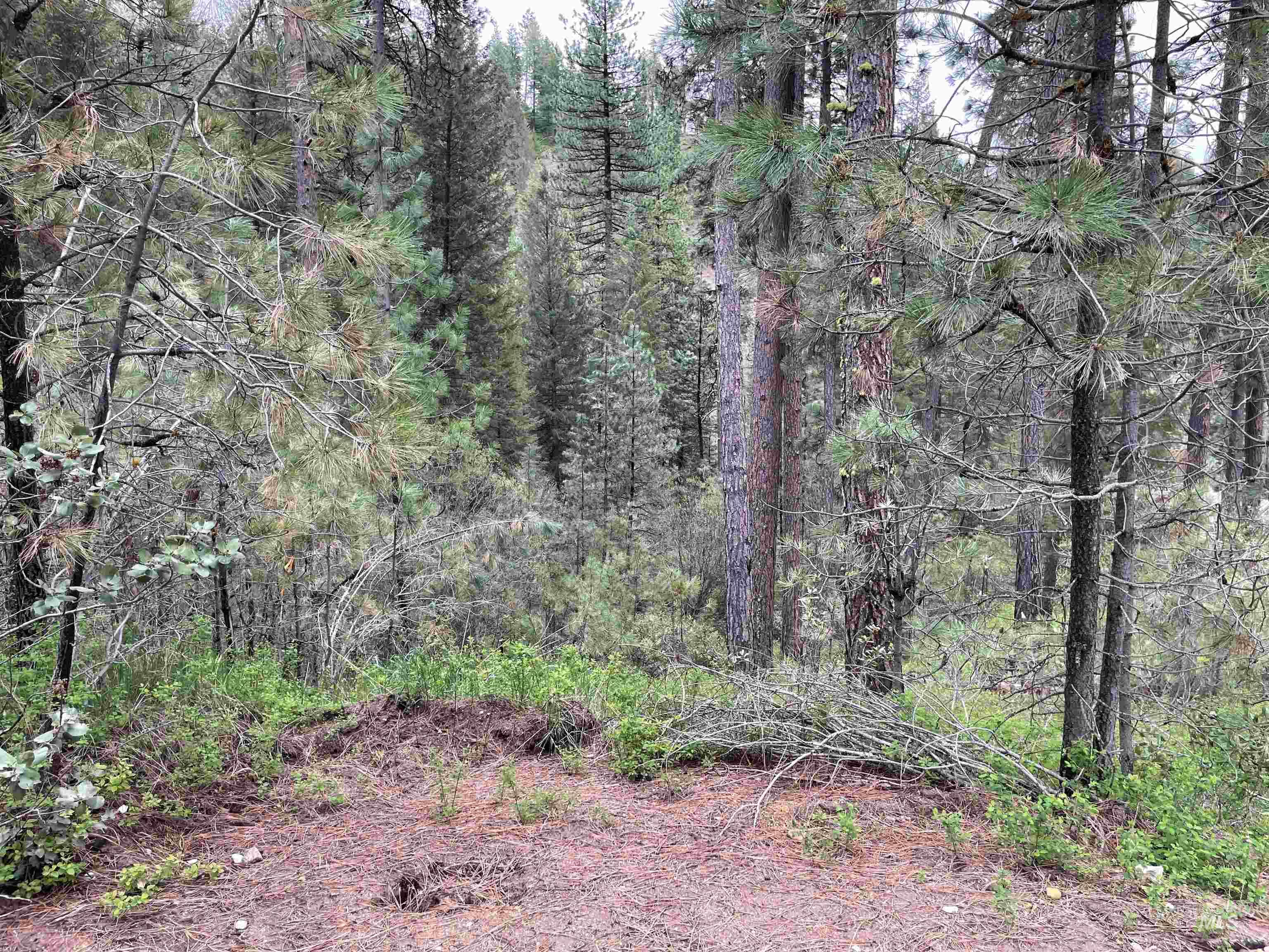 Tbd Park Ln Lot 7 & 8 Property Photo 5