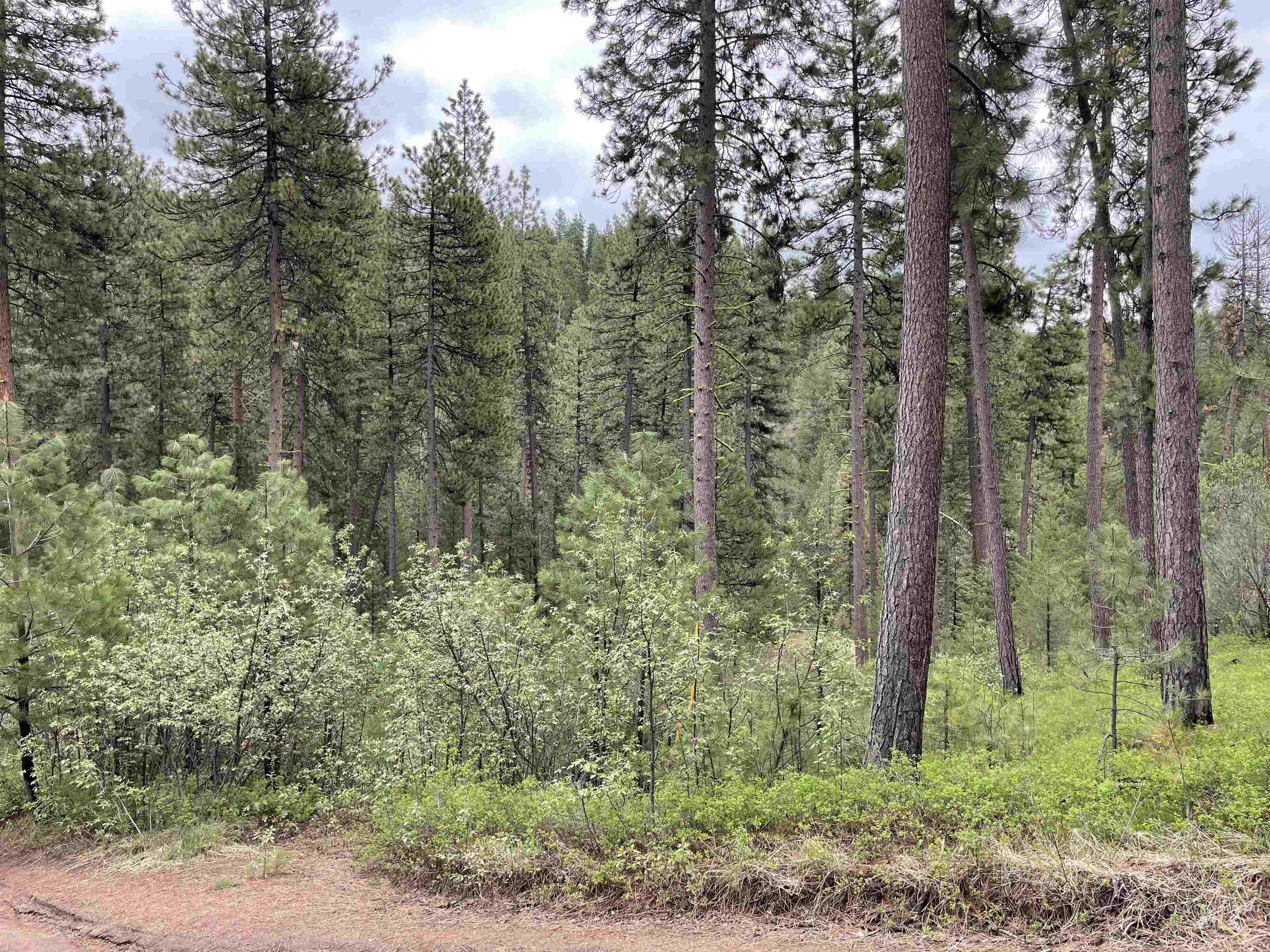 Tbd Park Ln Lot 7 & 8 Property Photo 6