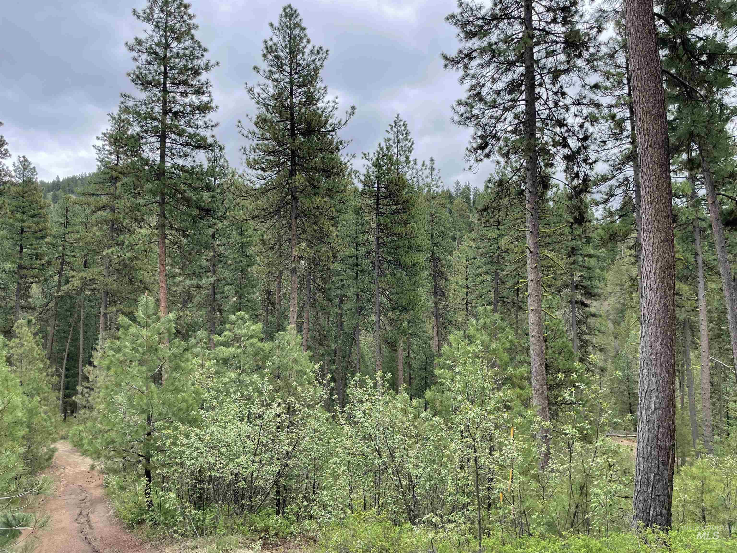 Tbd Park Ln Lot 7 & 8 Property Photo 7