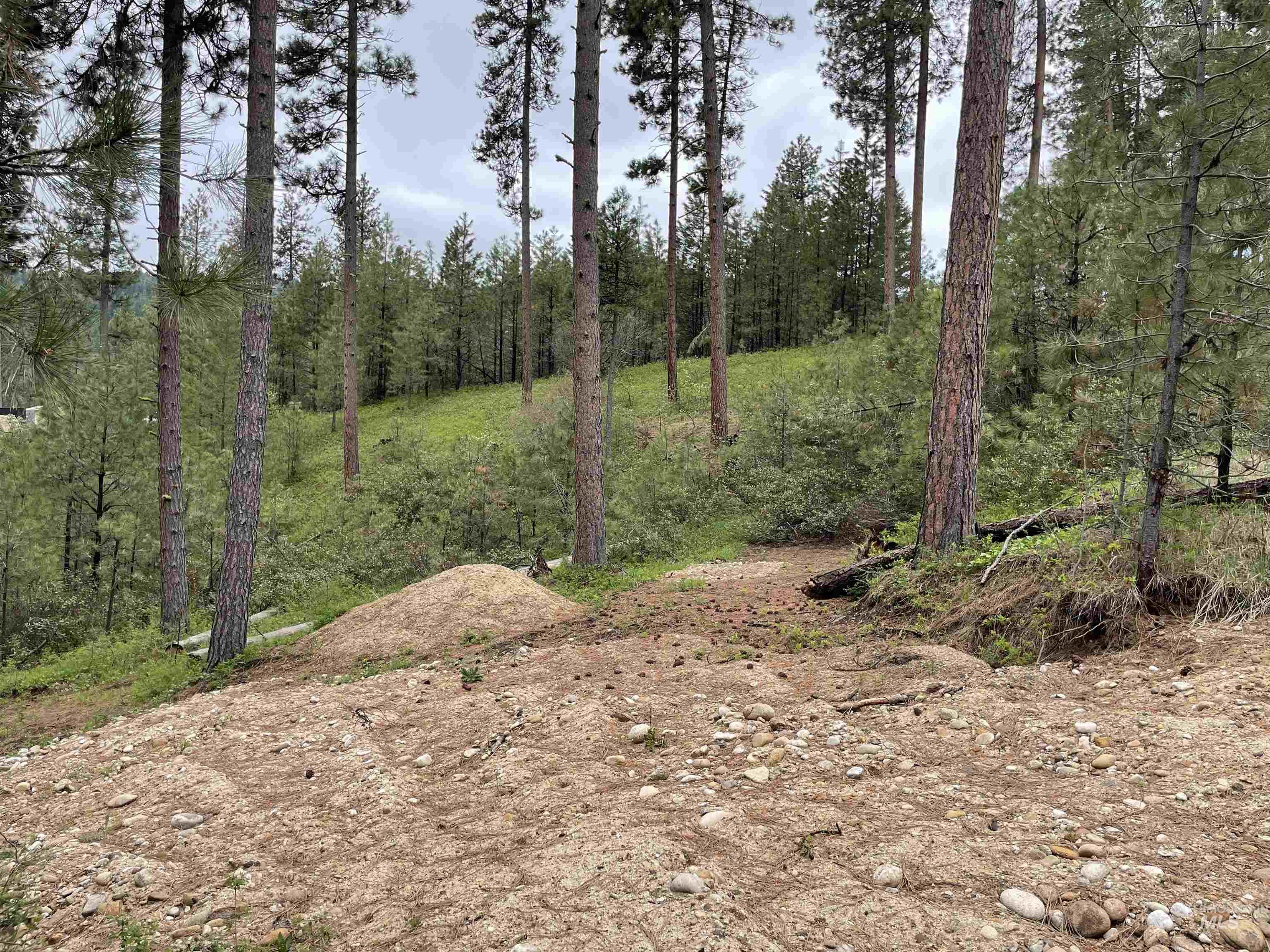 Tbd Park Ln Lot 7 & 8 Property Photo 8