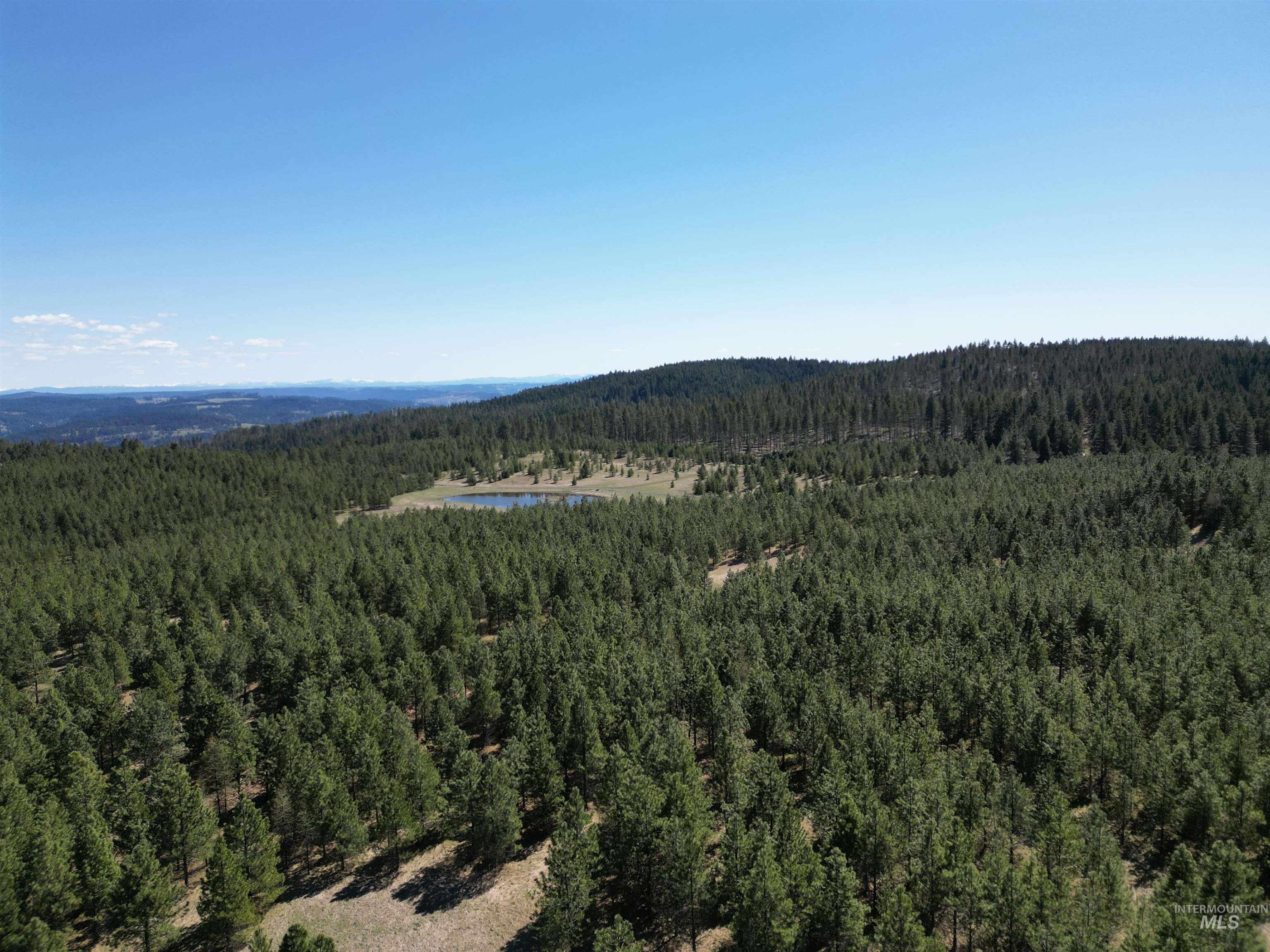 4975 Middle Road Property Photo