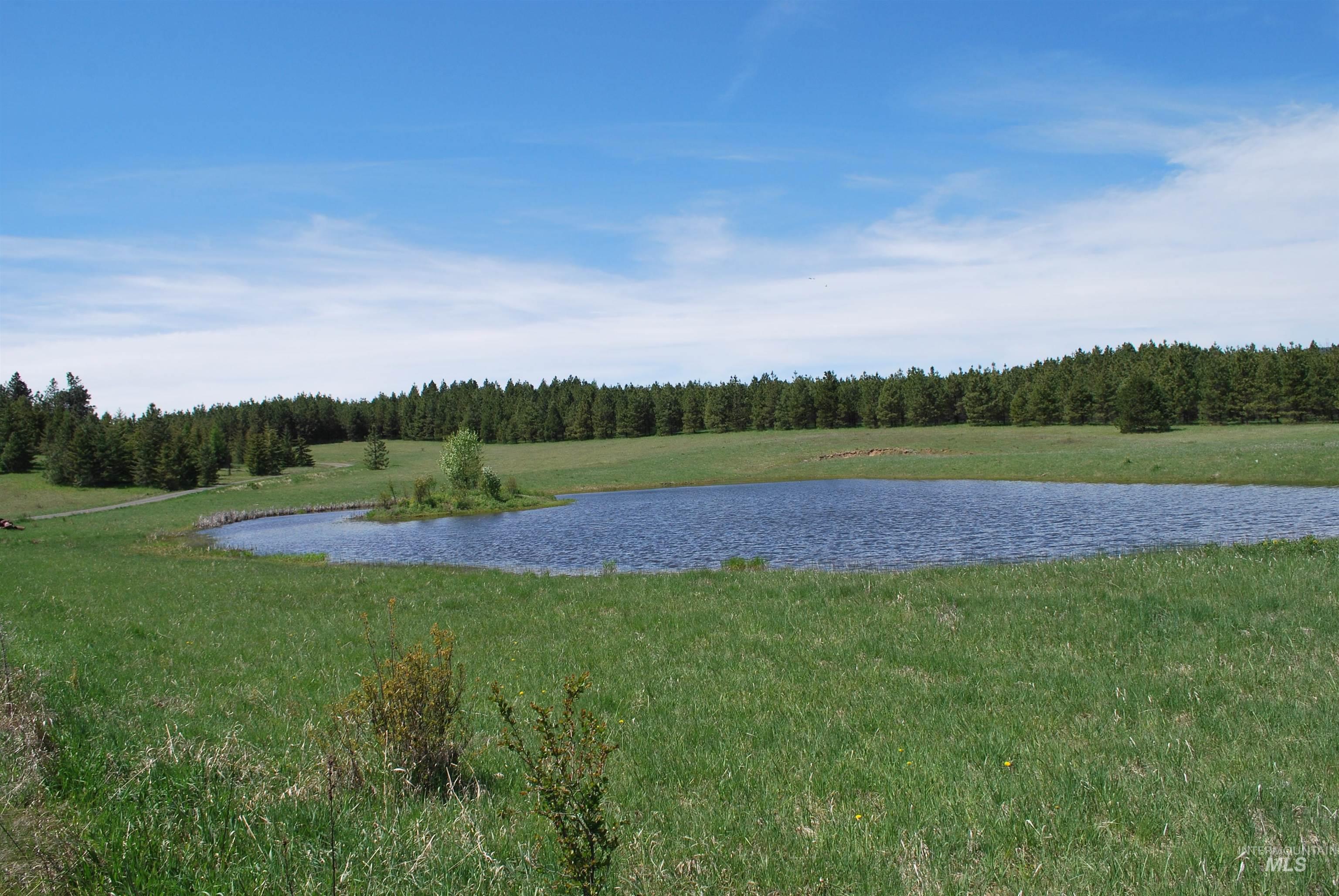 4975 Middle Road Property Photo 26