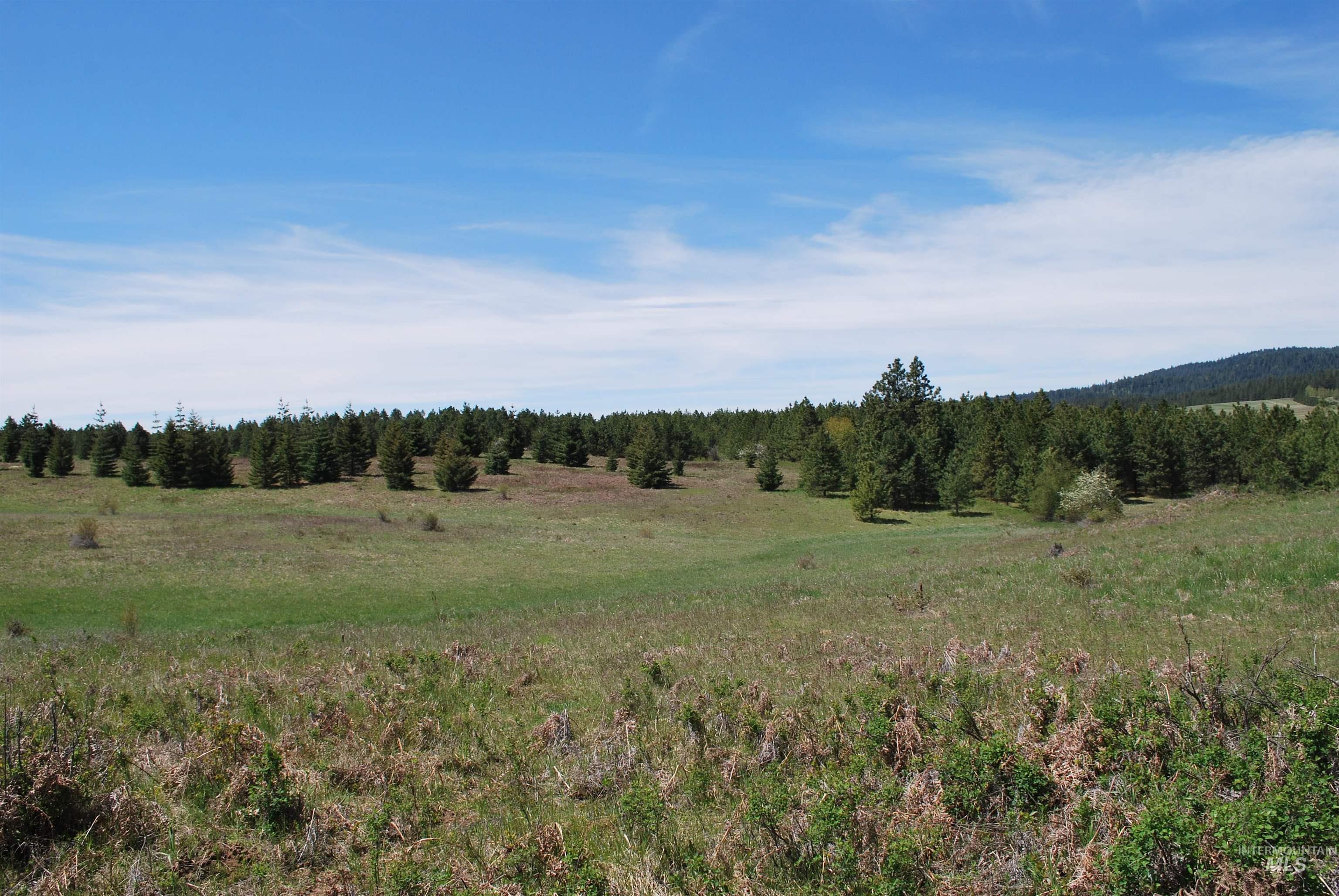 4975 Middle Road Property Photo 28