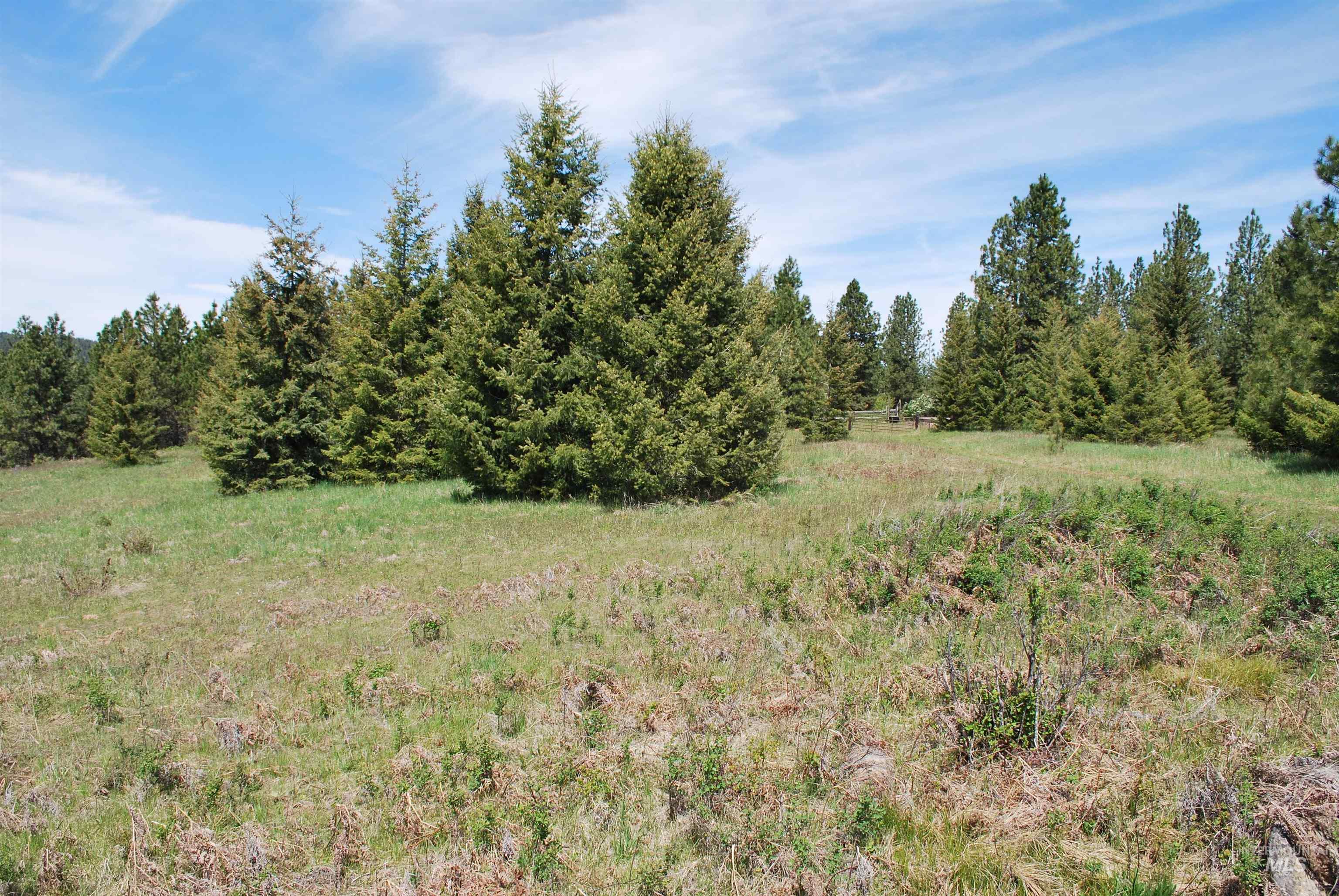 4975 Middle Road Property Photo 31