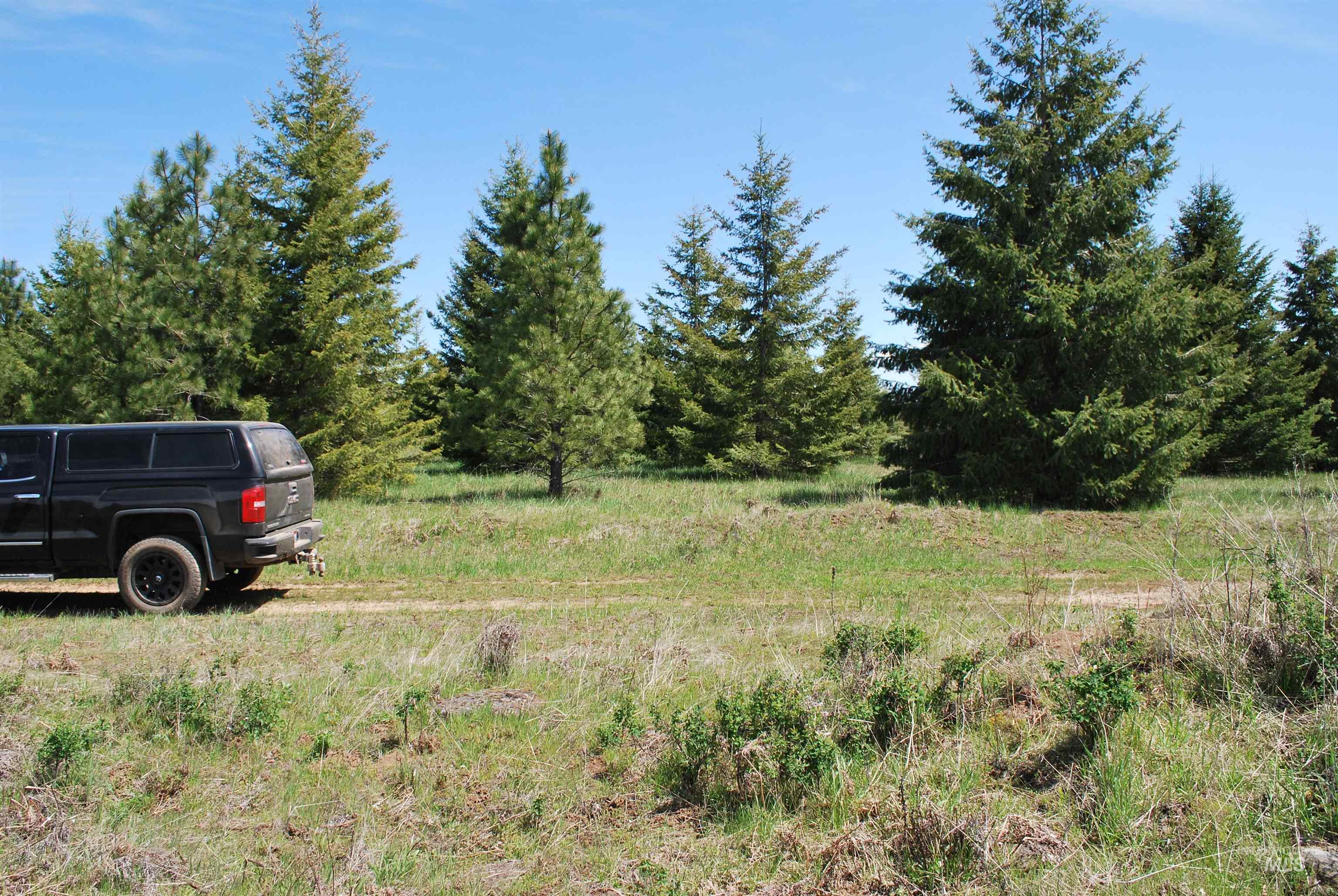 4975 Middle Road Property Photo 32