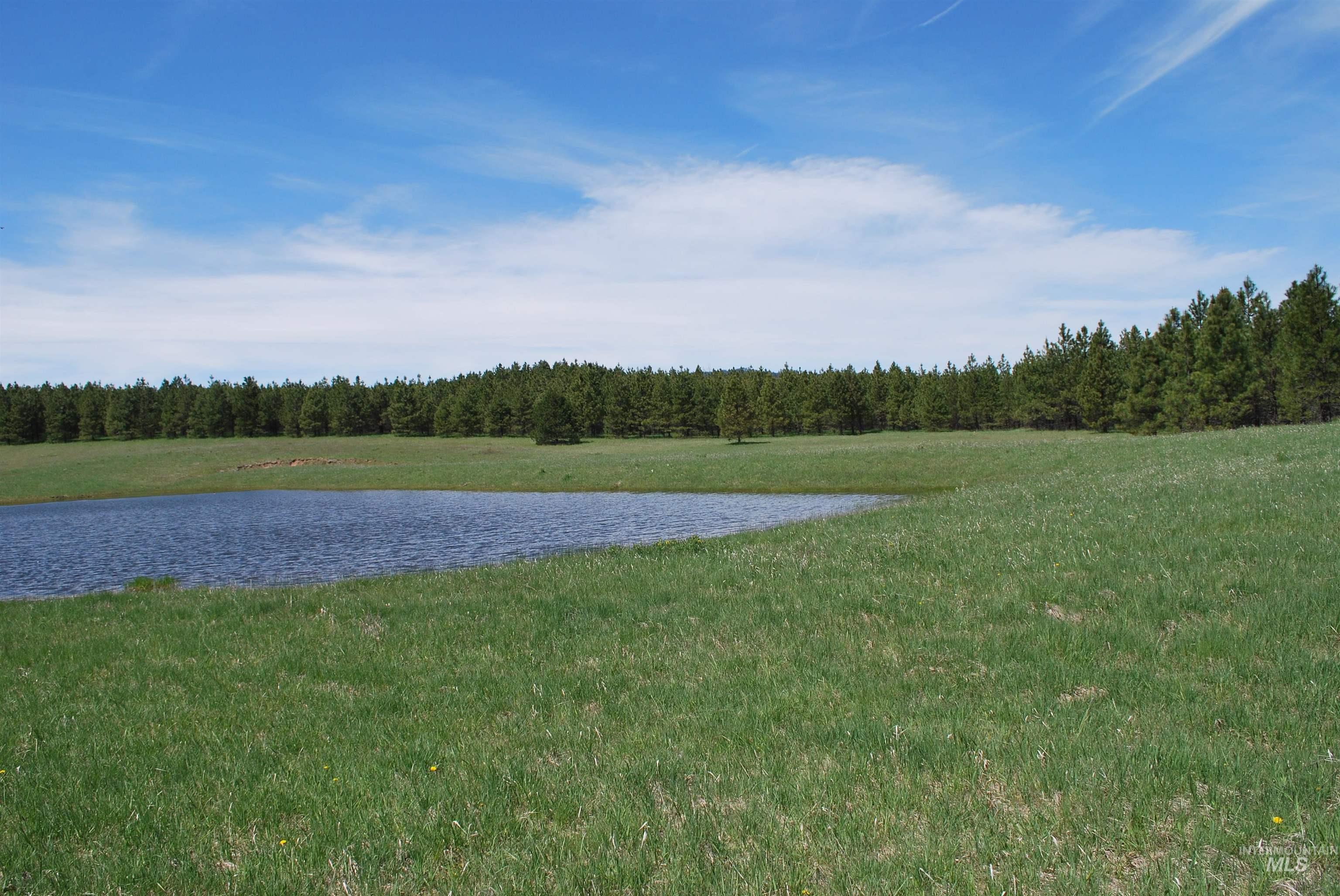 4975 Middle Road Property Photo 43