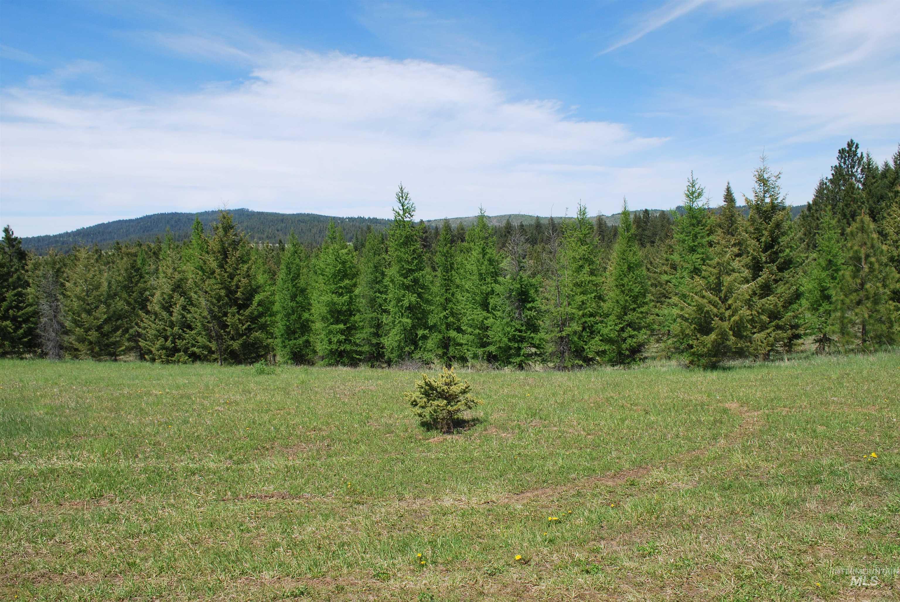 4975 Middle Road Property Photo 46