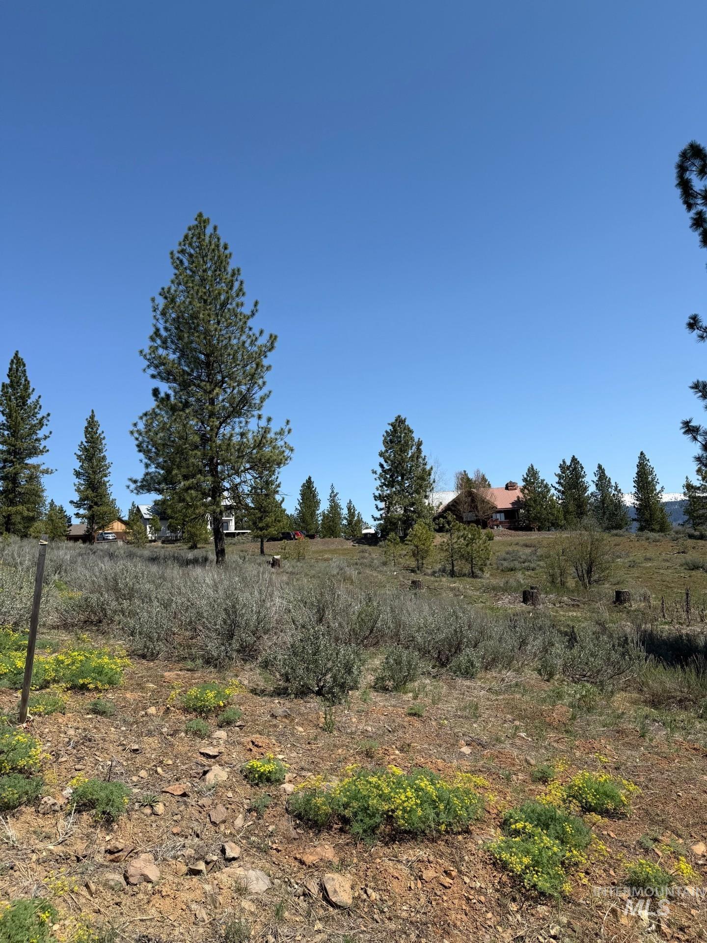 Tbd Yarrow Drive Property Photo 4