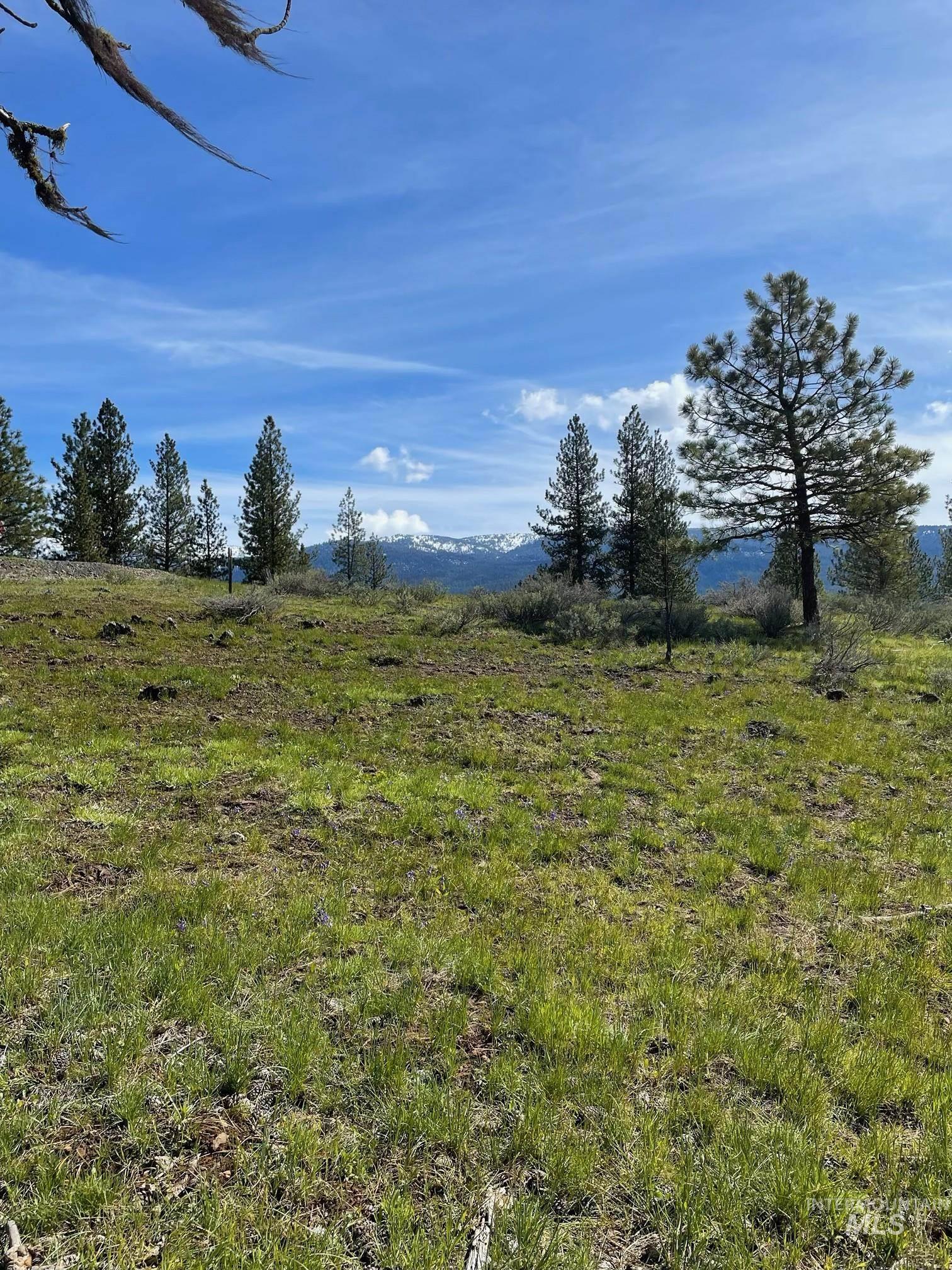 Tbd Yarrow Drive Property Photo 8