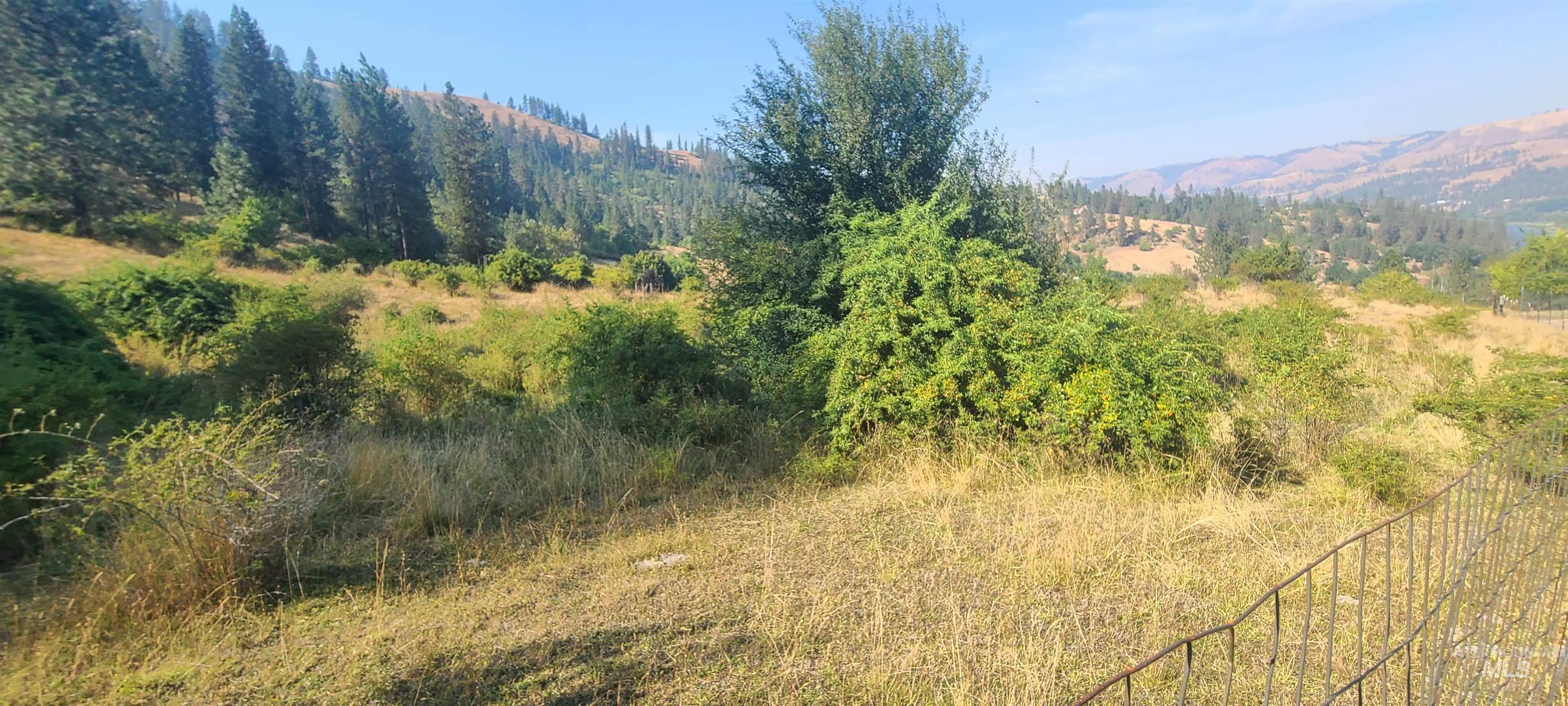 Tbd Riverview Lane Property Photo 5